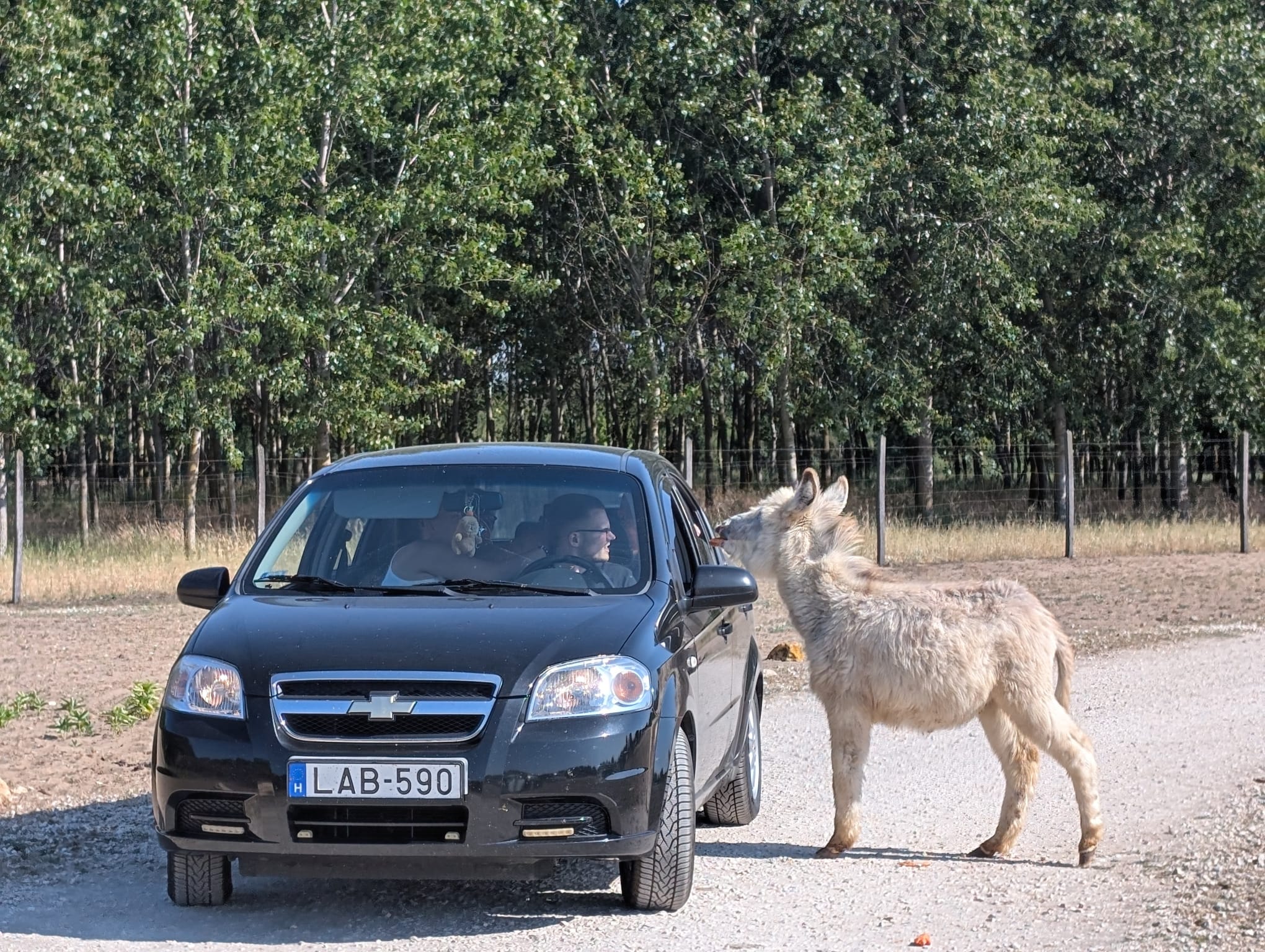 safari richter park (43)