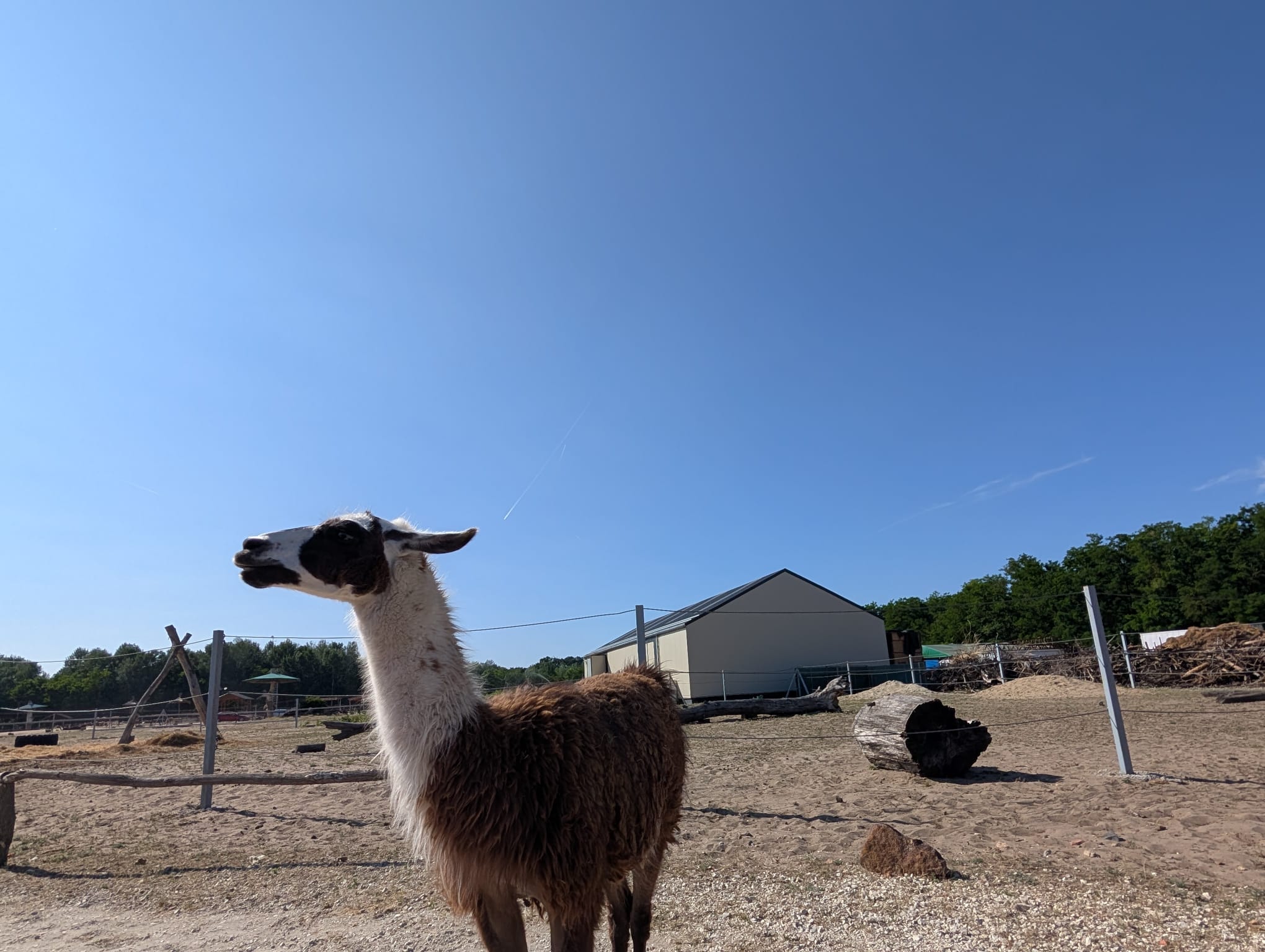 safari richter park (44)