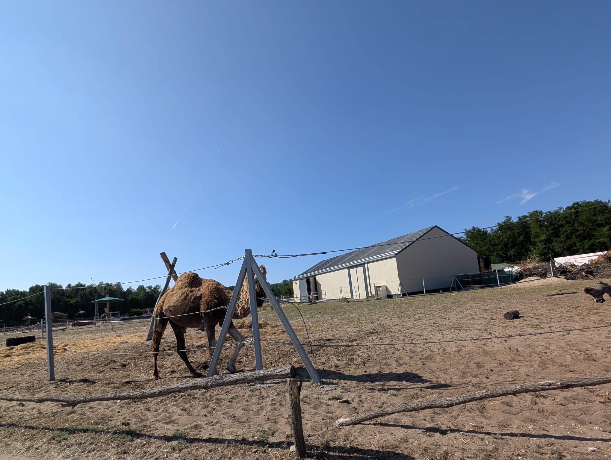 safari richter park (46)