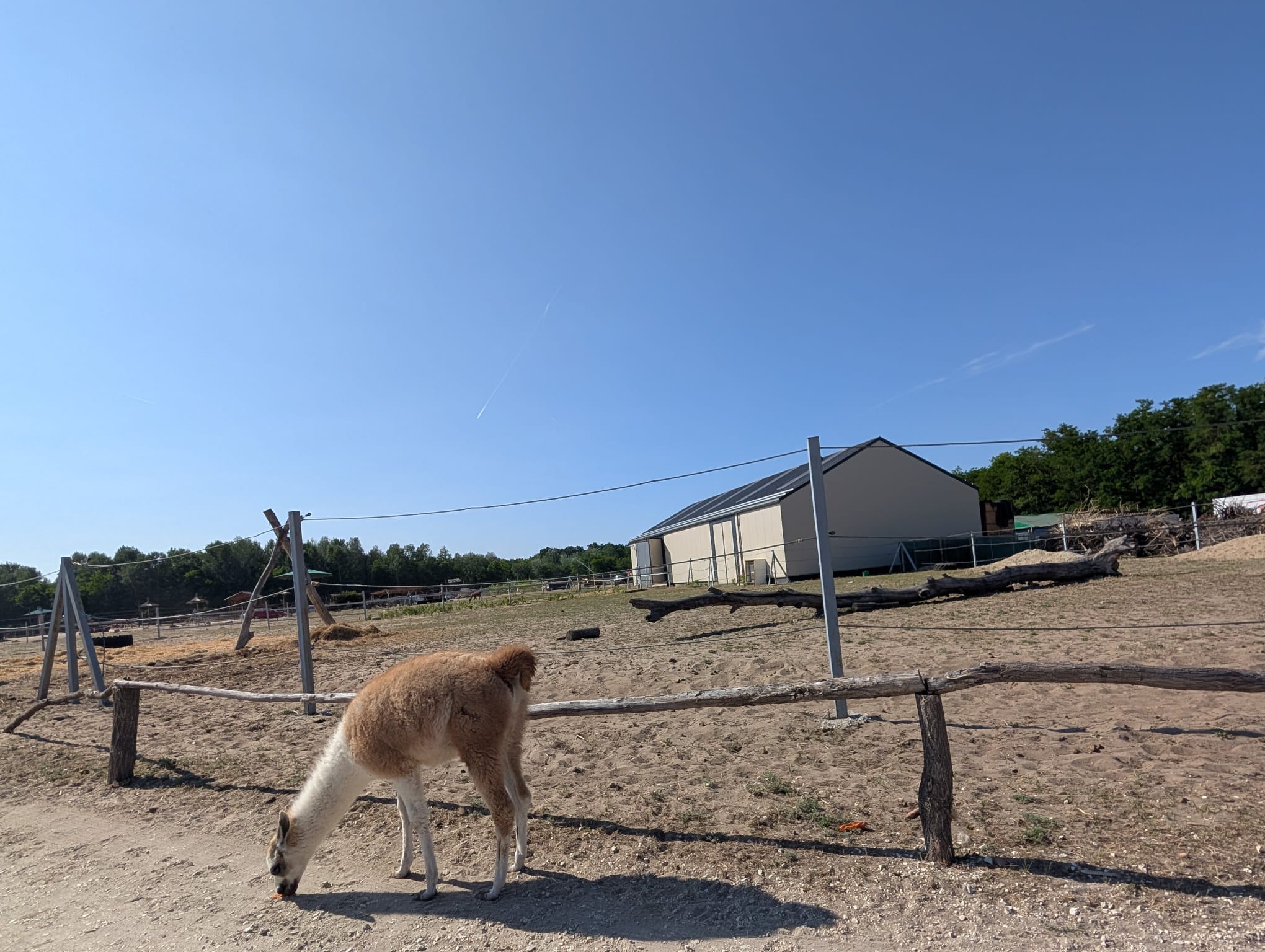 safari richter park (48)