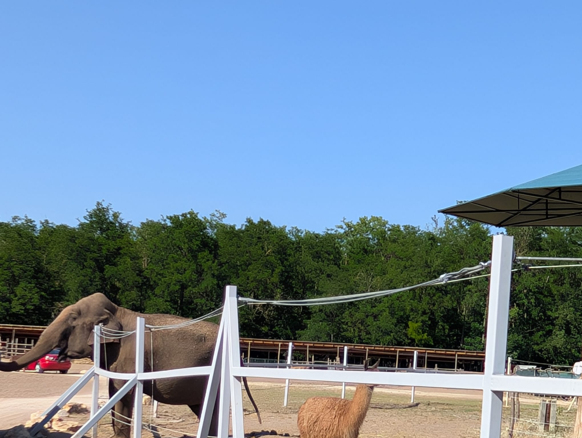 safari richter park (49)