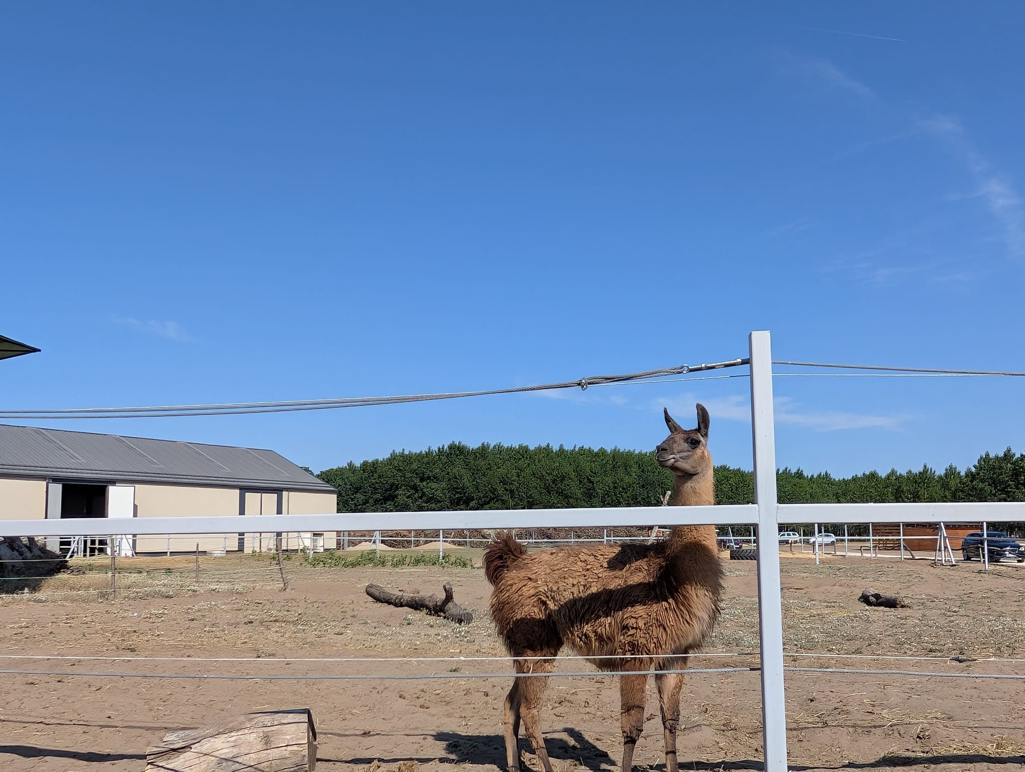 safari richter park (51)