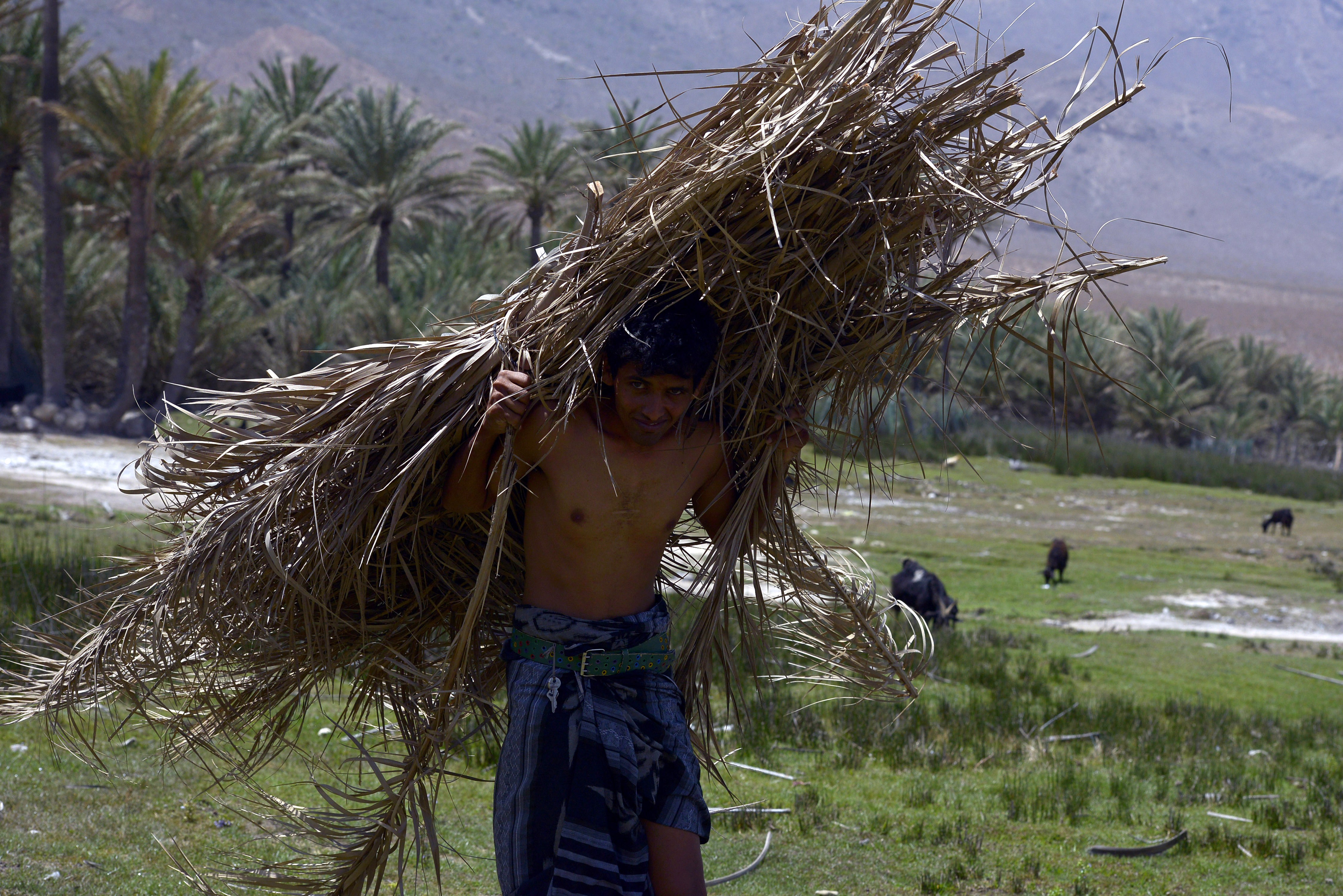 Yemen Socotra island