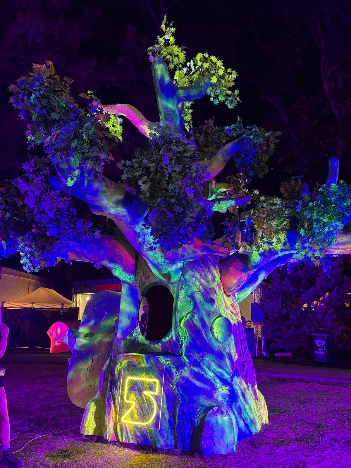 codru festival ziua 2 sambata (1)