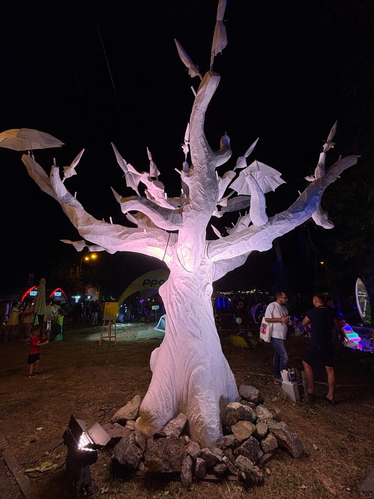 codru festival ziua 2 sambata (3)