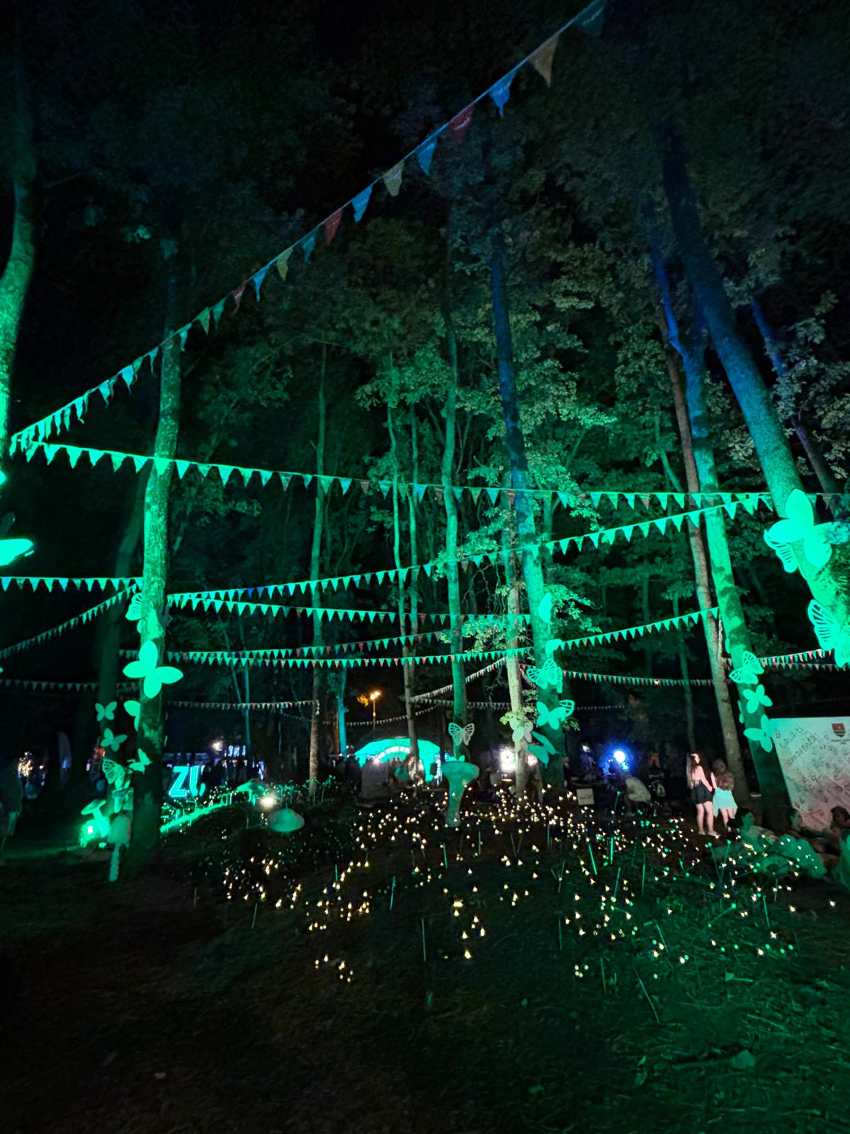 codru festival ziua 2 sambata (4)