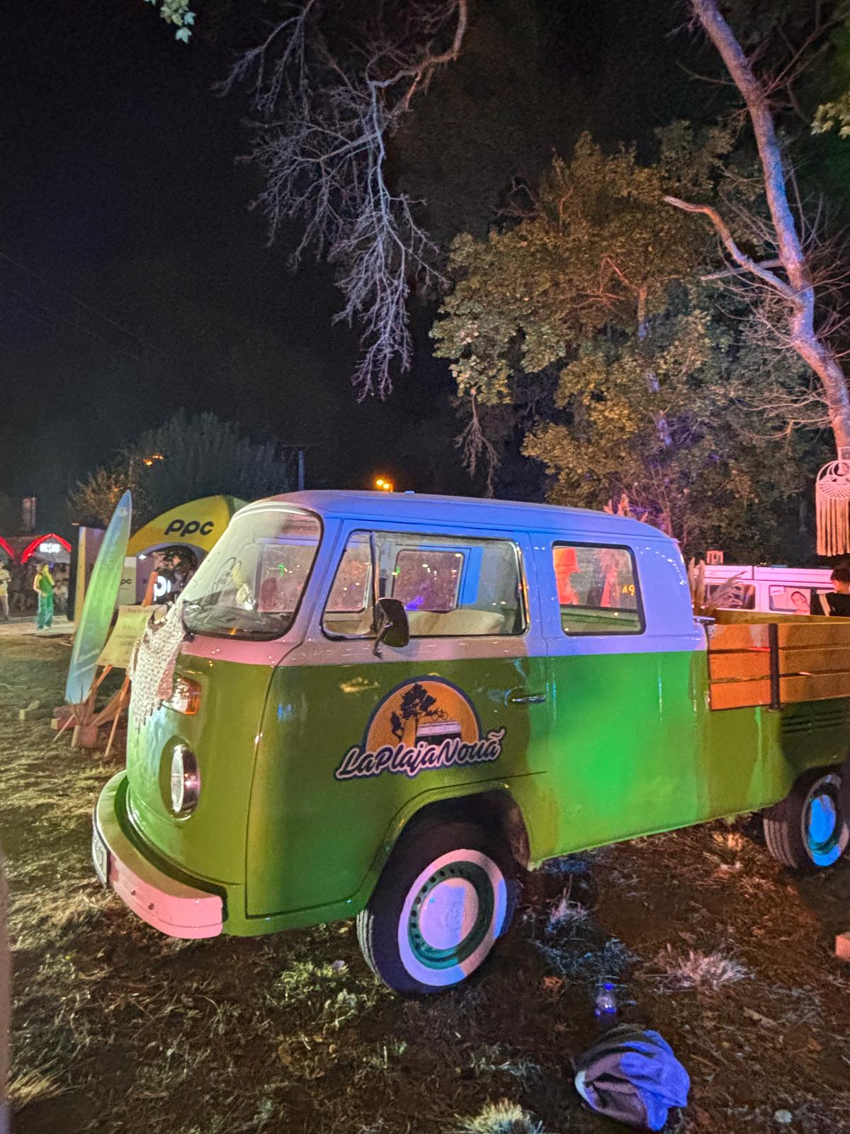 codru festival ziua 2 sambata (11)