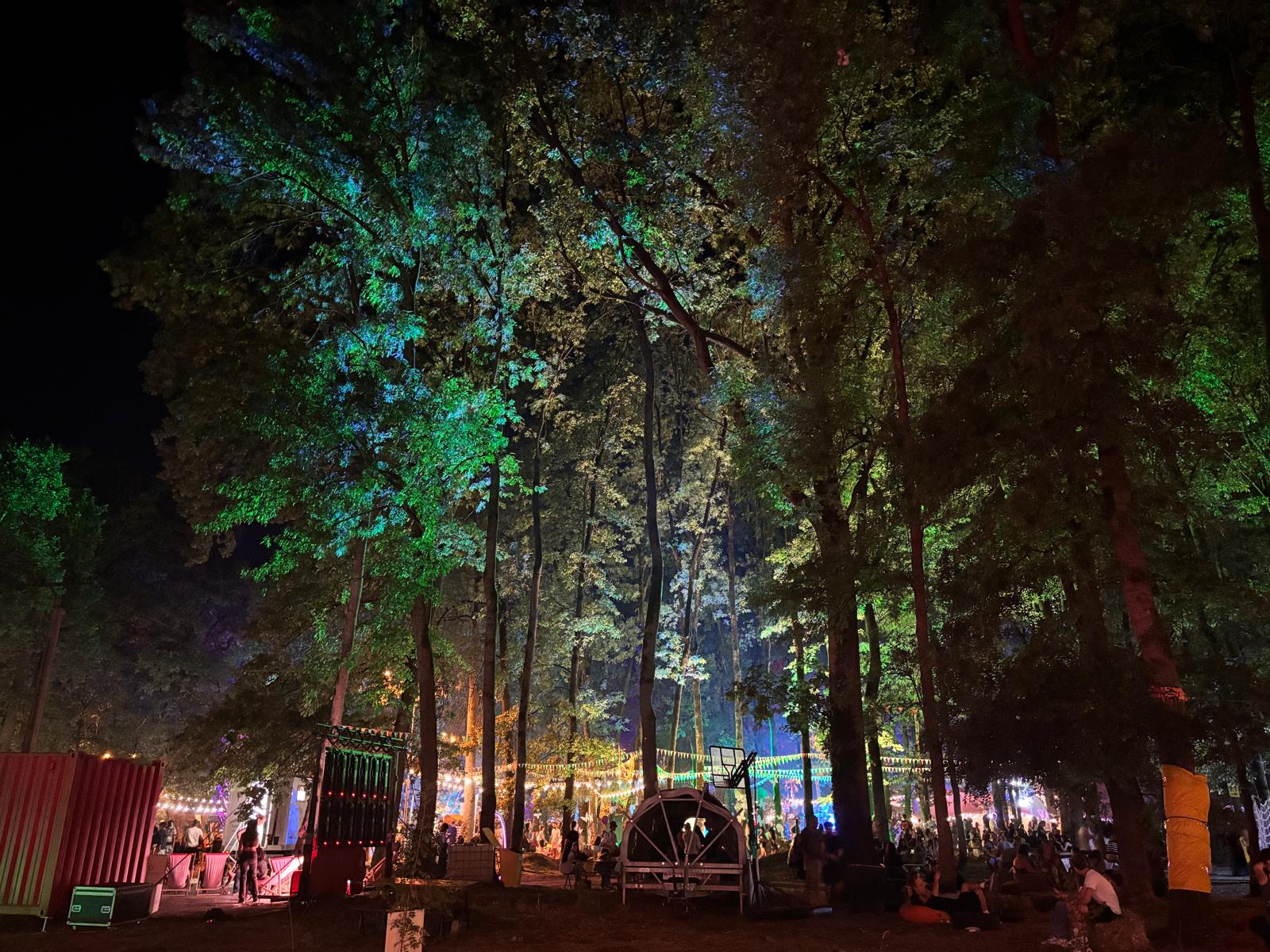 codru festival ziua 2 sambata (12)