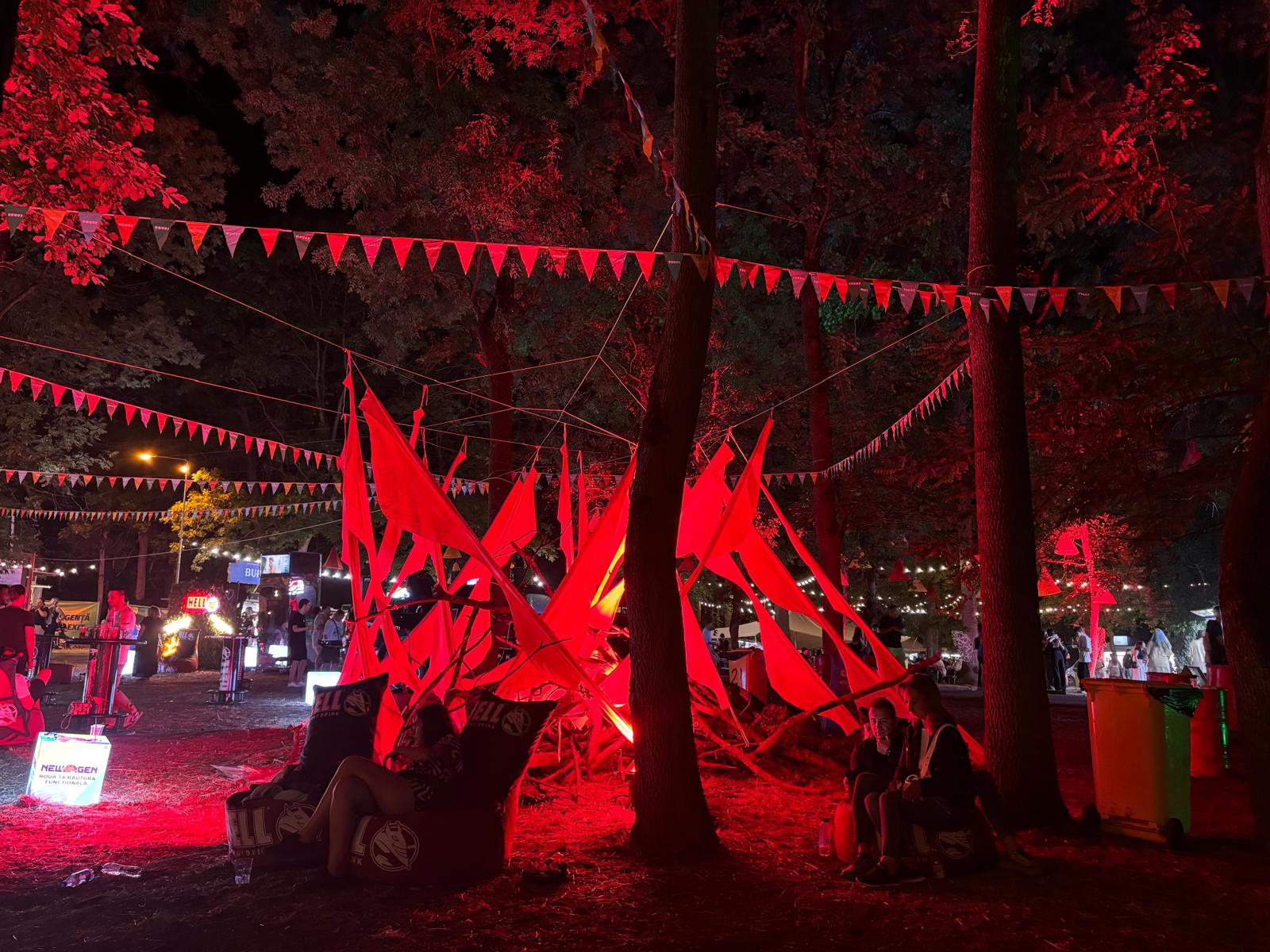 codru festival ziua 2 sambata (13)