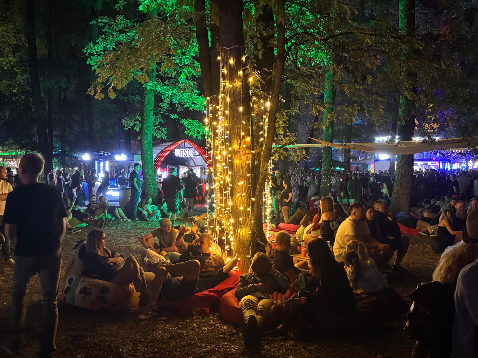 codru festival ziua 2 sambata (14)