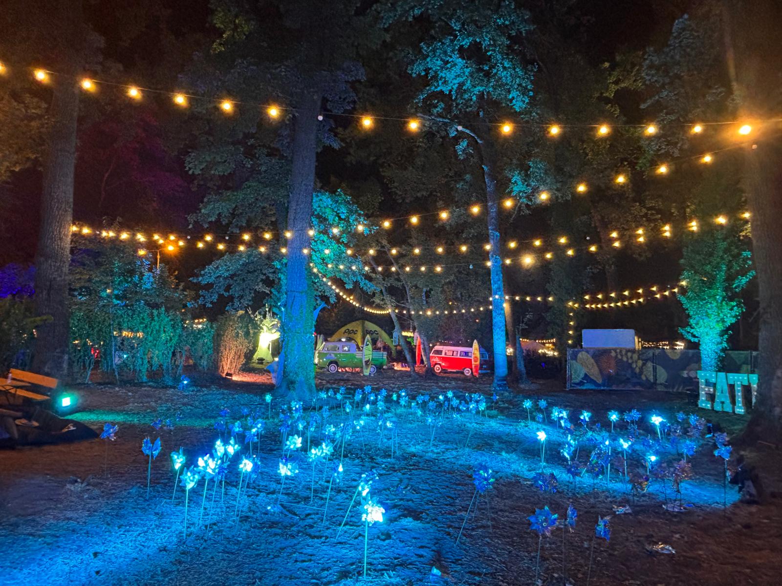 codru festival ziua 2 sambata (15)