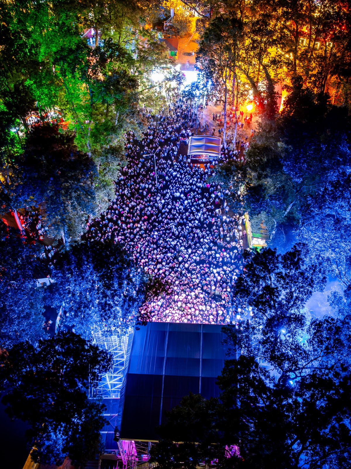 codru festival ziua 2 sambata (18)