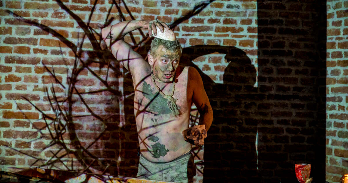 Hamlet 2025: De la Nemesis la Chișinău, o interpretare modernă captivantă