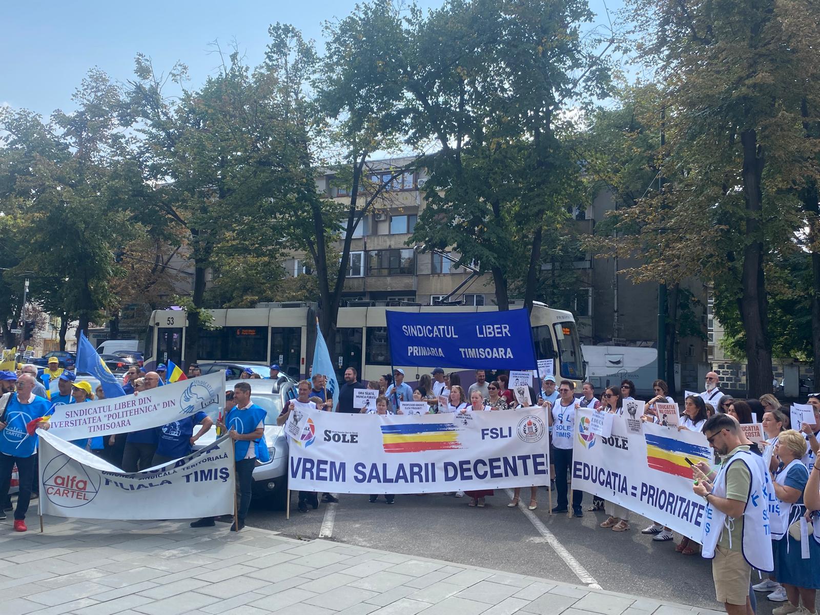 protest profesori educatie prefectura timisoara (4)
