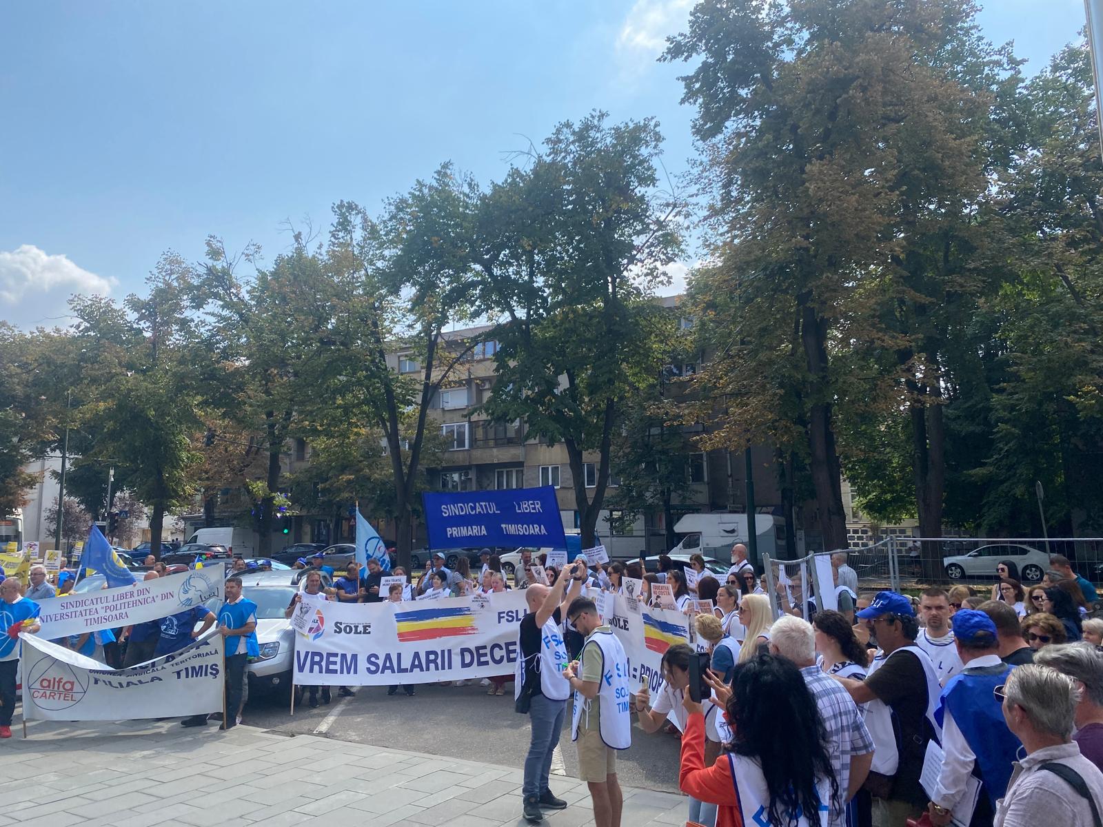 protest profesori educatie prefectura timisoara (5)