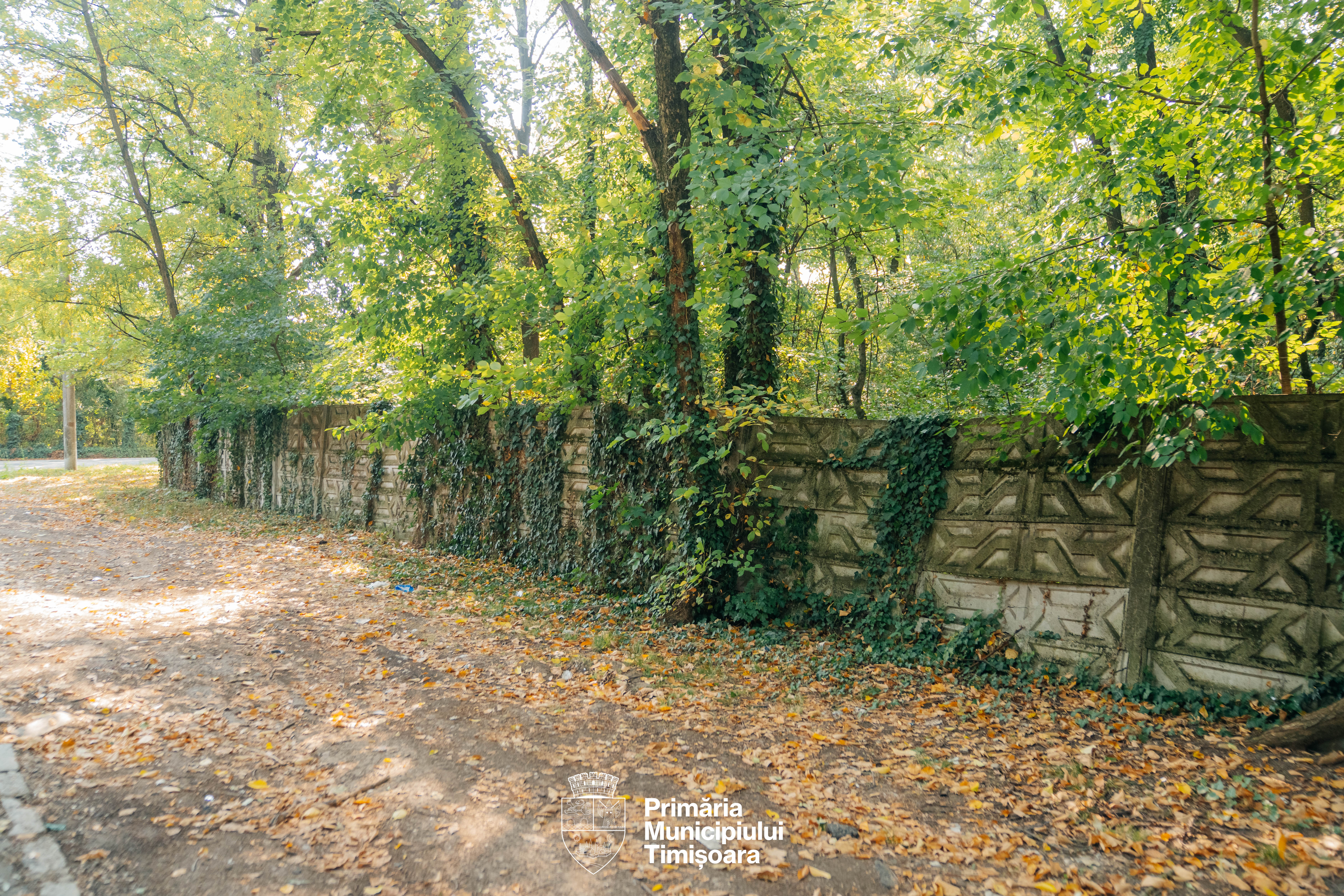 ștrandul tineretului garduri demolate (2)