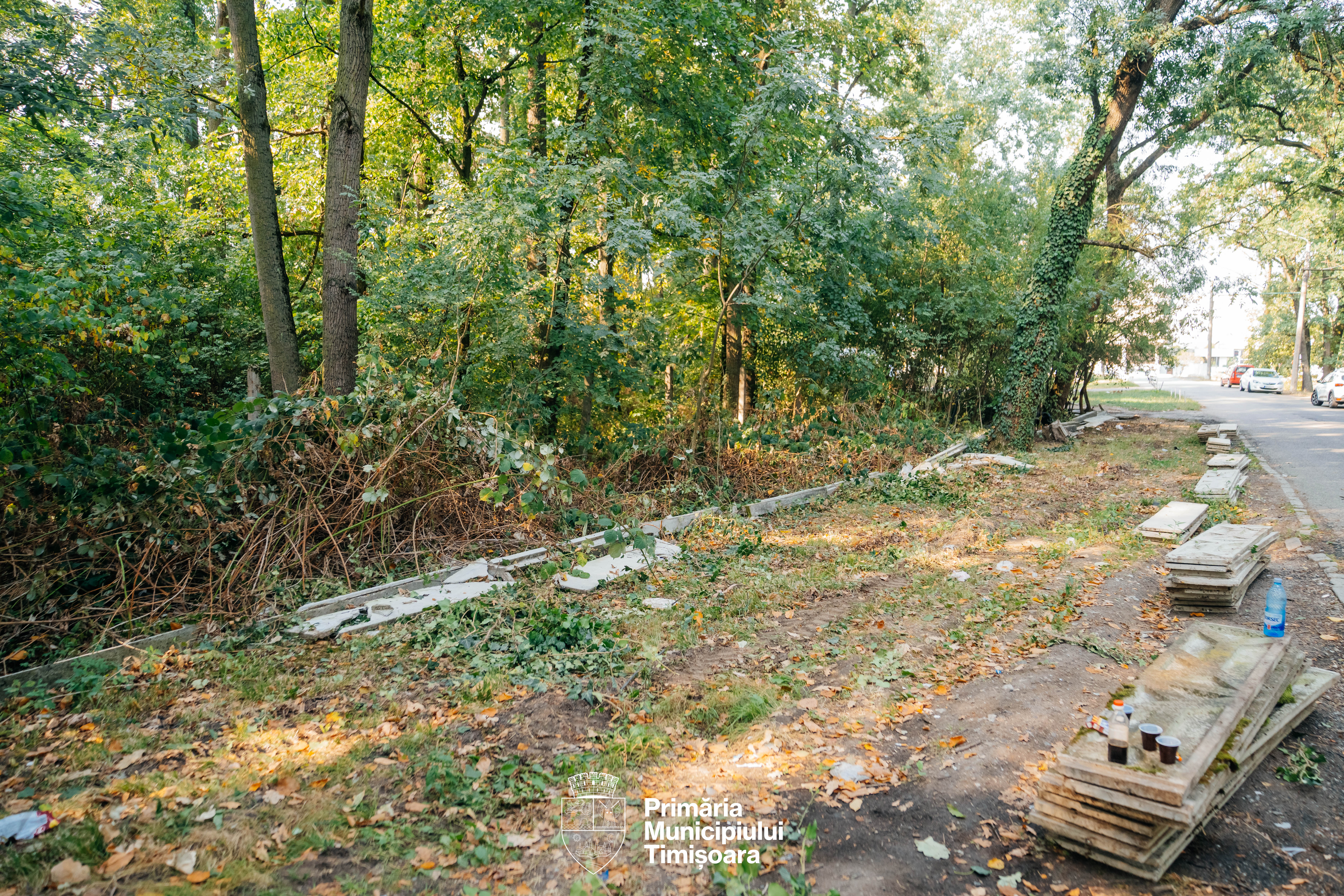 ștrandul tineretului garduri demolate (4)