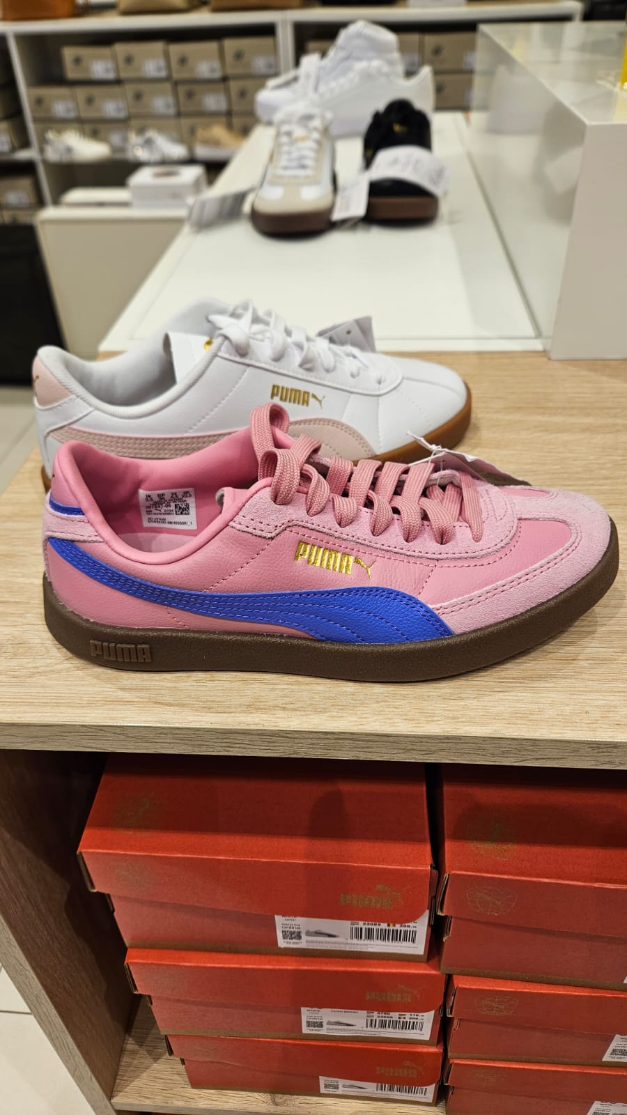 WhatsApp Image 2025-09-01 at 18.03.16