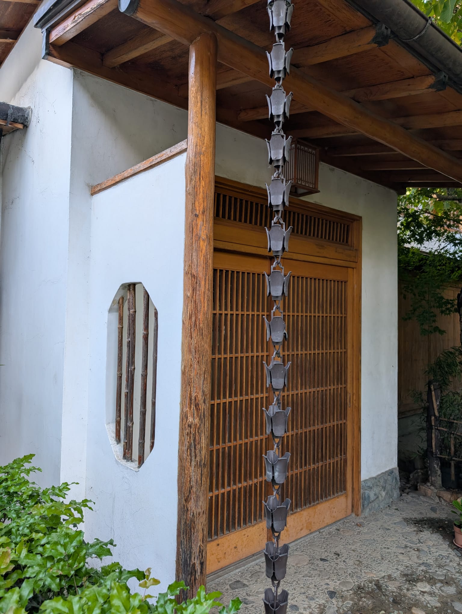 Camelia Nakagawara (5)