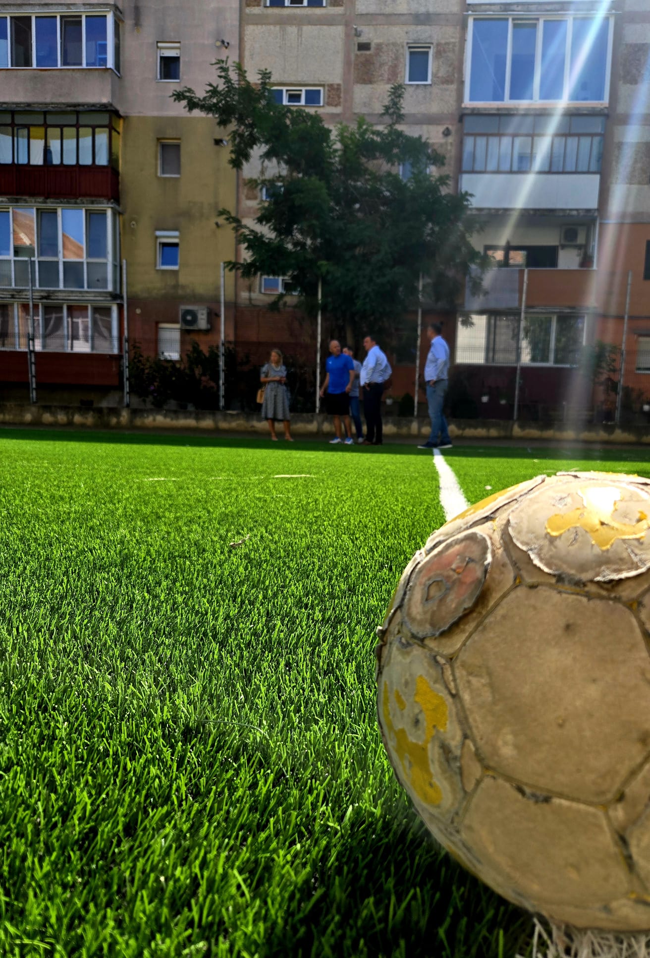 scoli dobra lugoj (9)