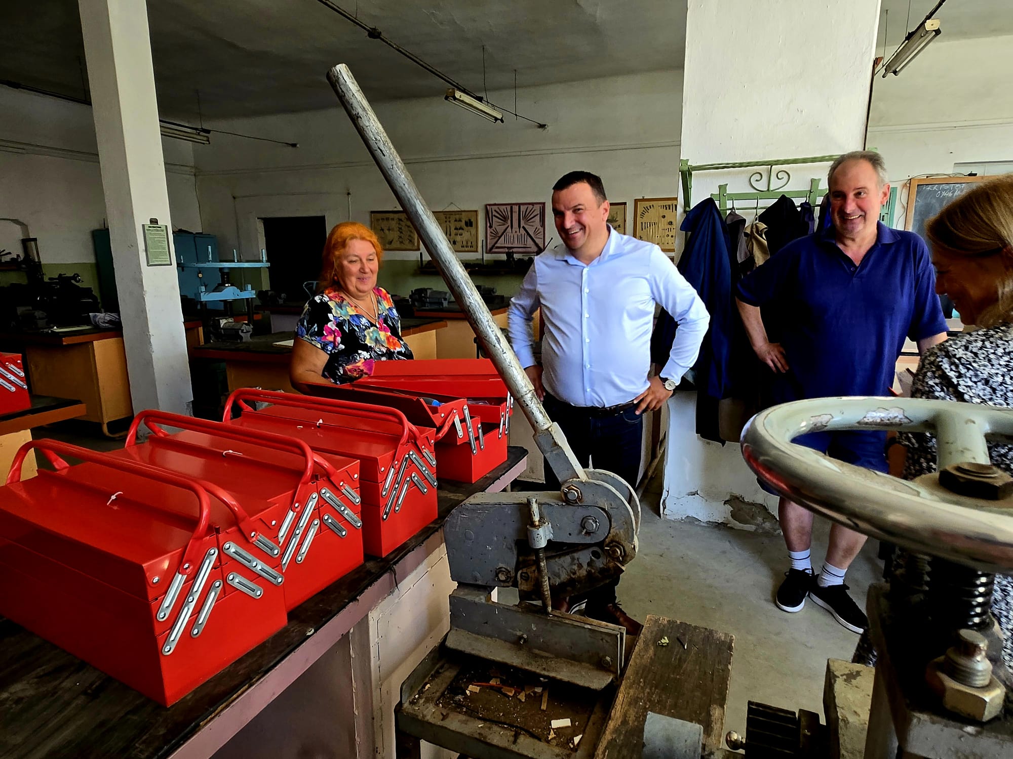 scoli dobra lugoj (3)