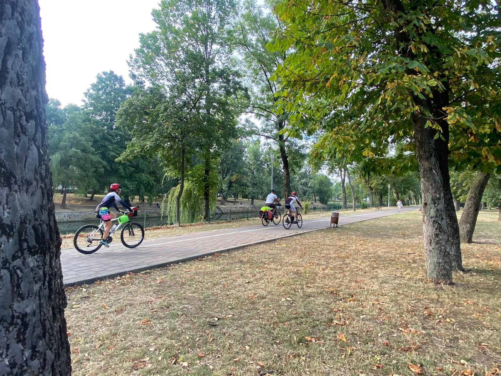 Nelu Slusarciuc (14)