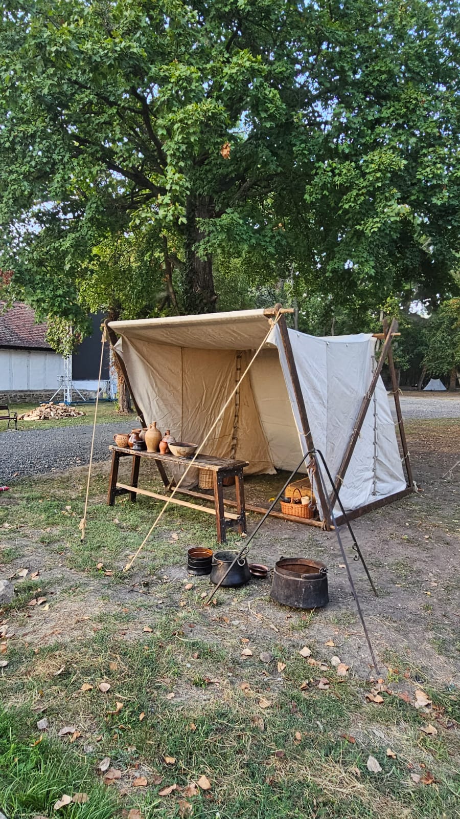 Imagine WhatsApp 2025-09-06 la 09.15.58_057b3dc4