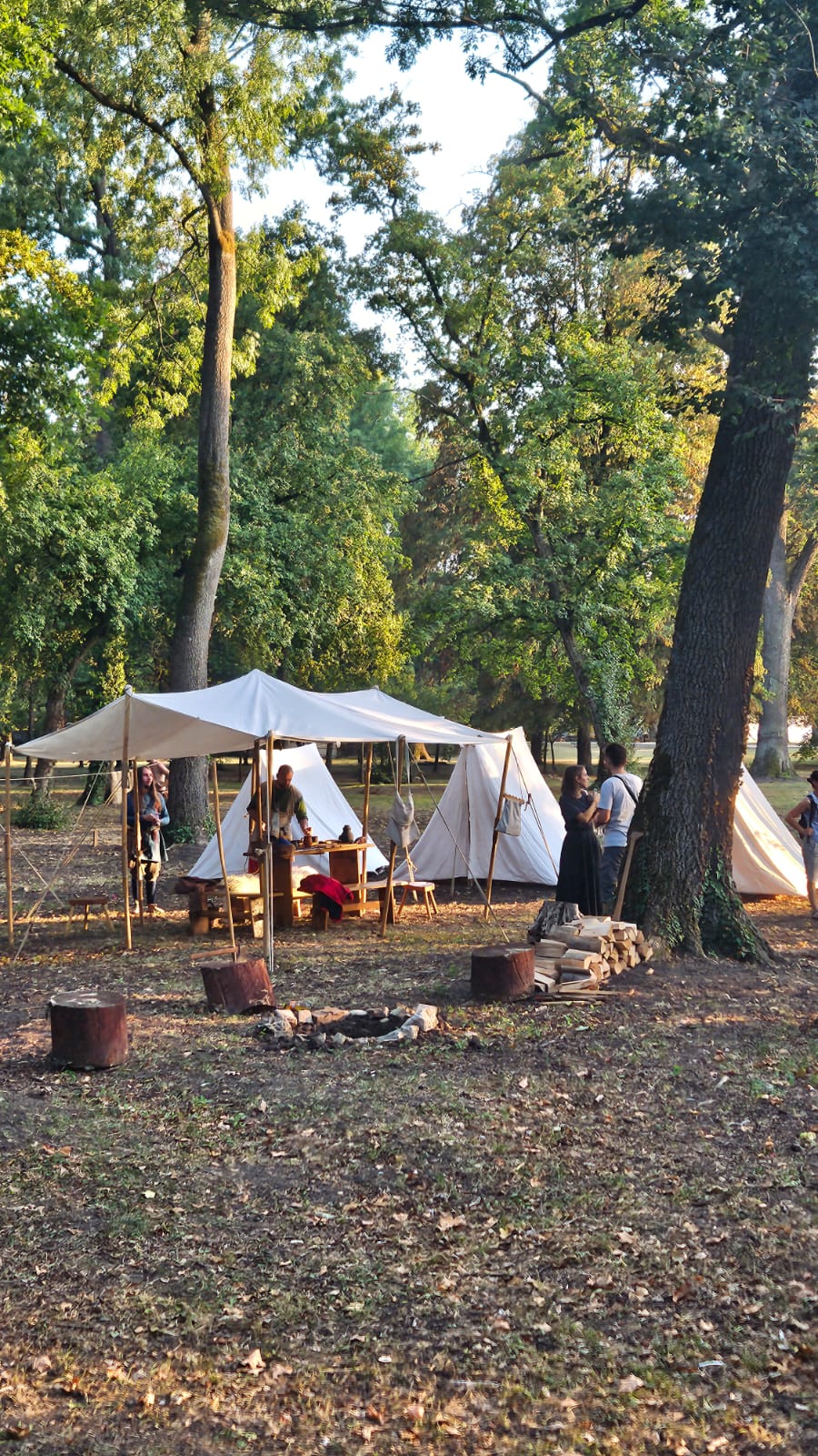 Imagine WhatsApp 2025-09-06 la 09.15.57_63fb5402