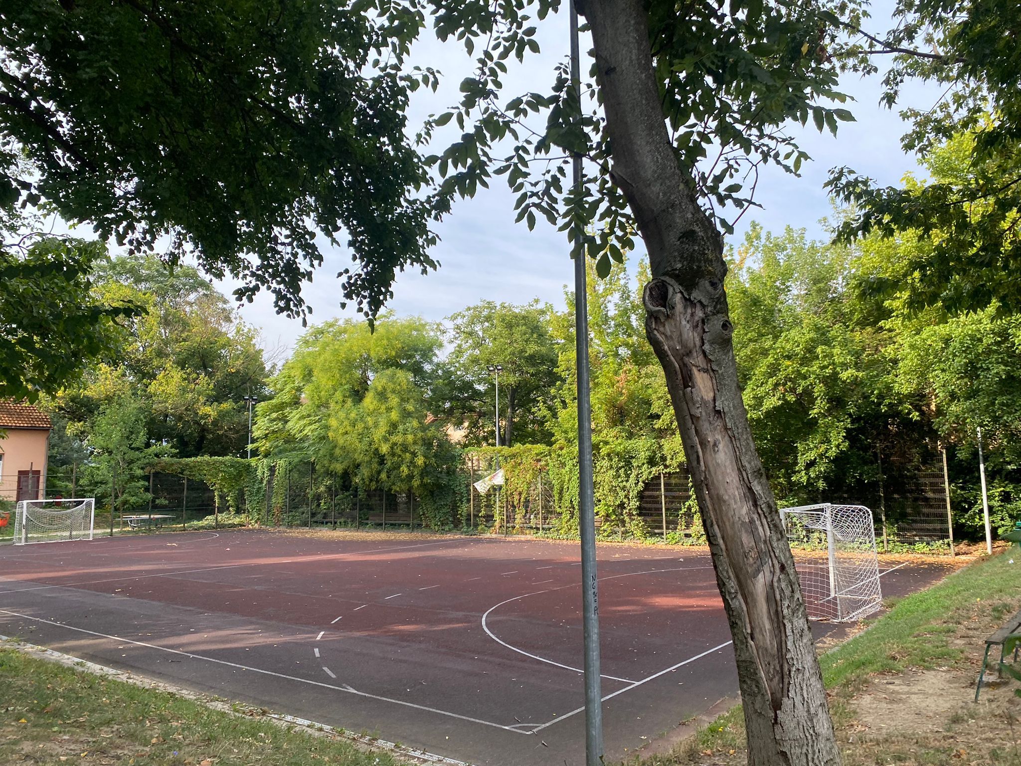 Imagine WhatsApp 2025-09-08 la 10.06.48_6ff4ae4f