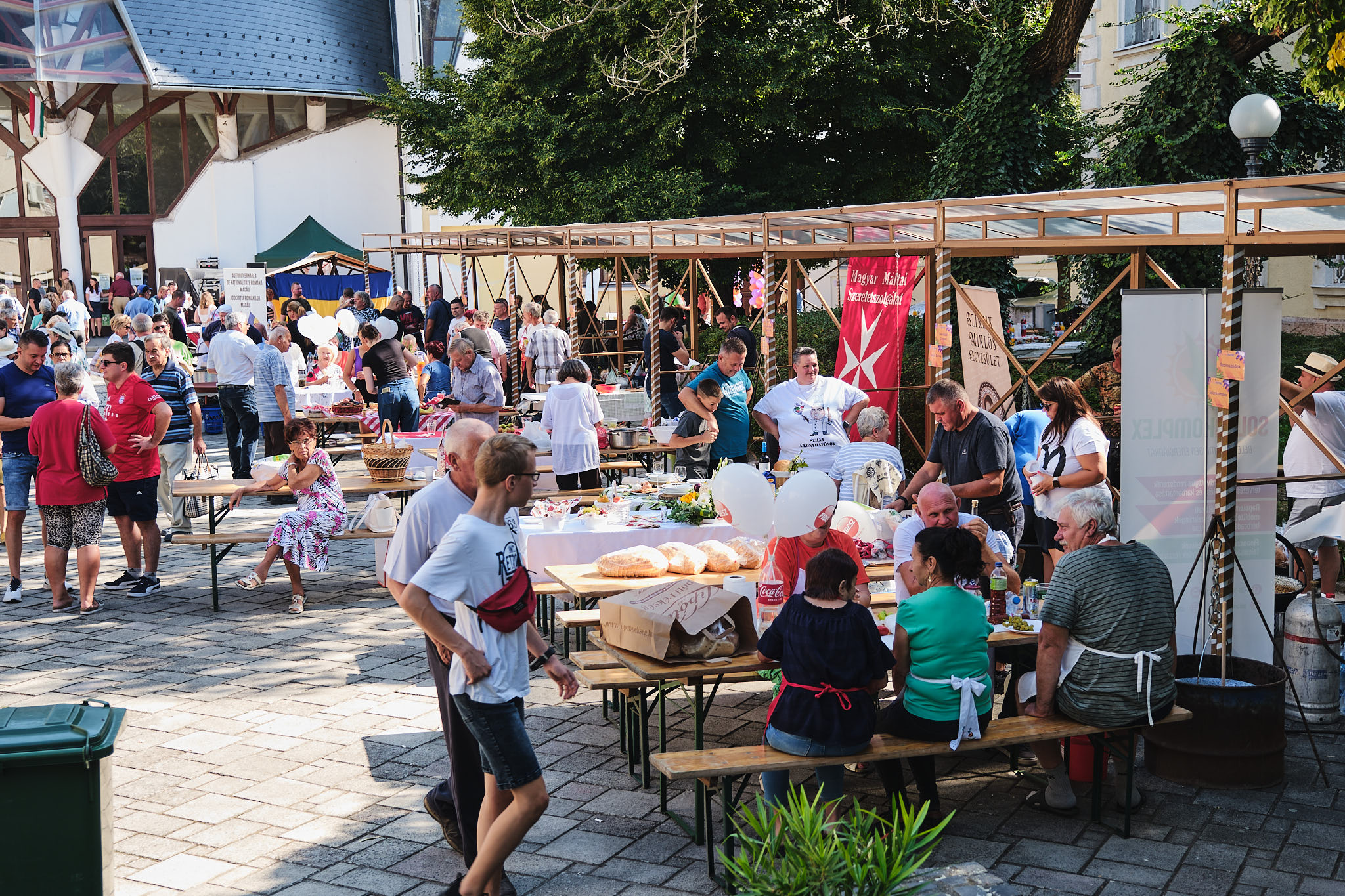 festivalul cepei mako (7)