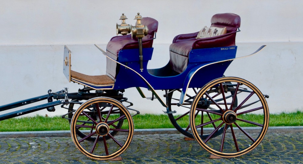 Domeniul Regal Săvârșin (4)