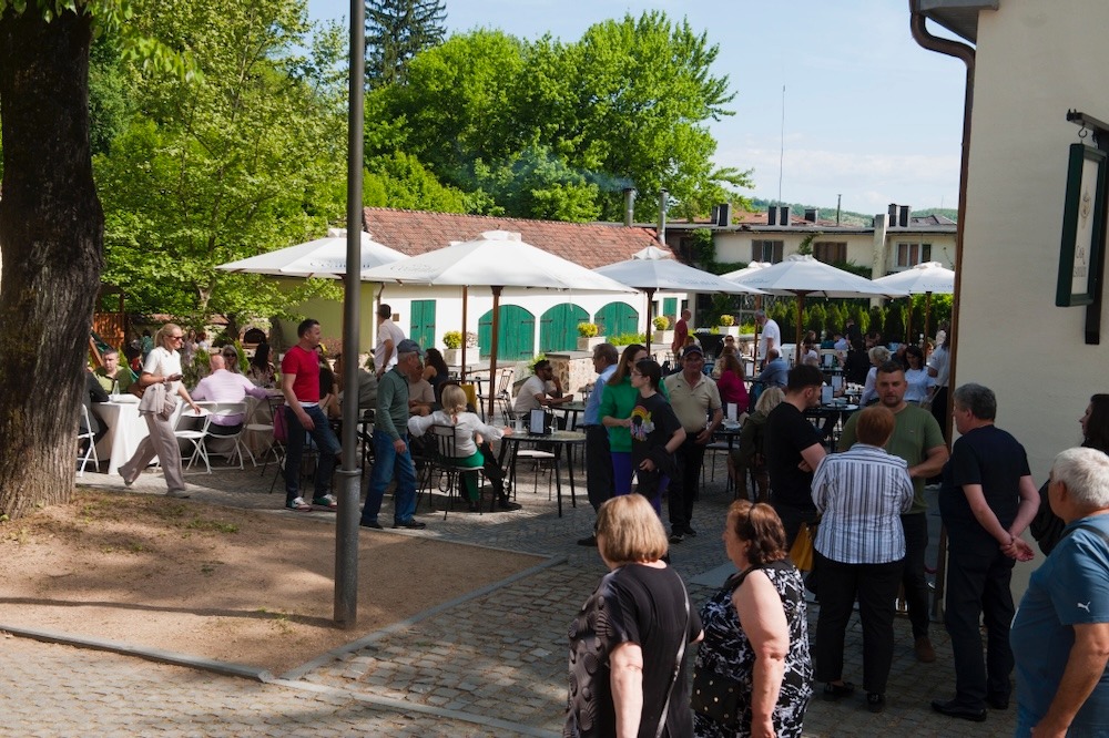 Domeniul Regal Săvârșin (9)