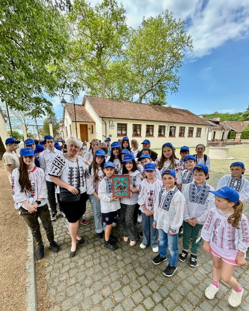 Domeniul Regal Săvârșin (1)