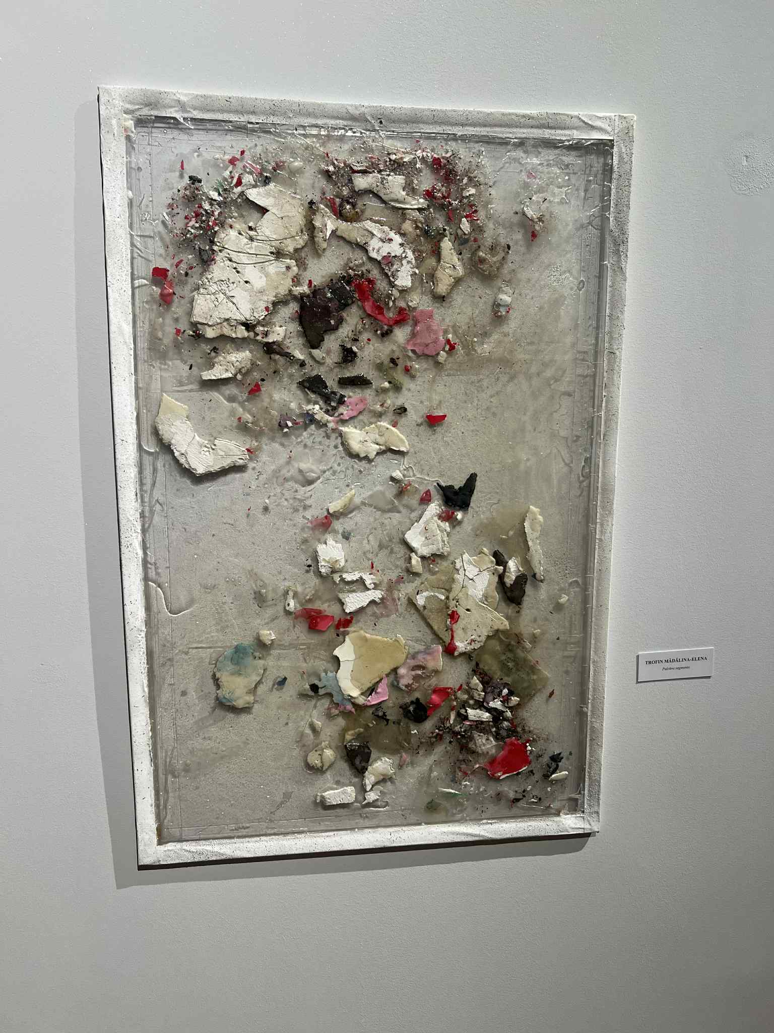 239c1566-ca9a-42d2-904e-0facad0ae01b