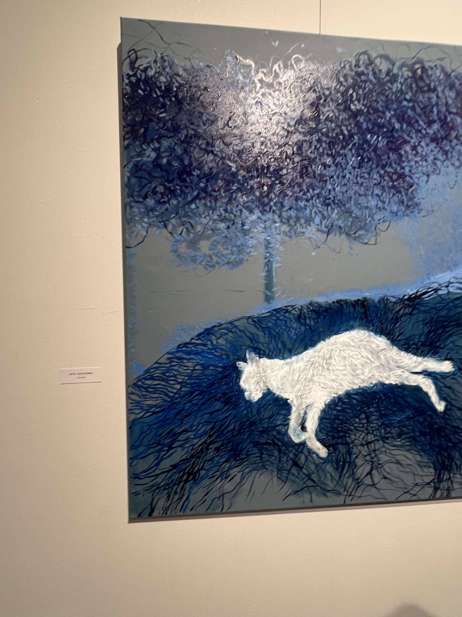 541686375_753427497574332_2855179308416655676_n