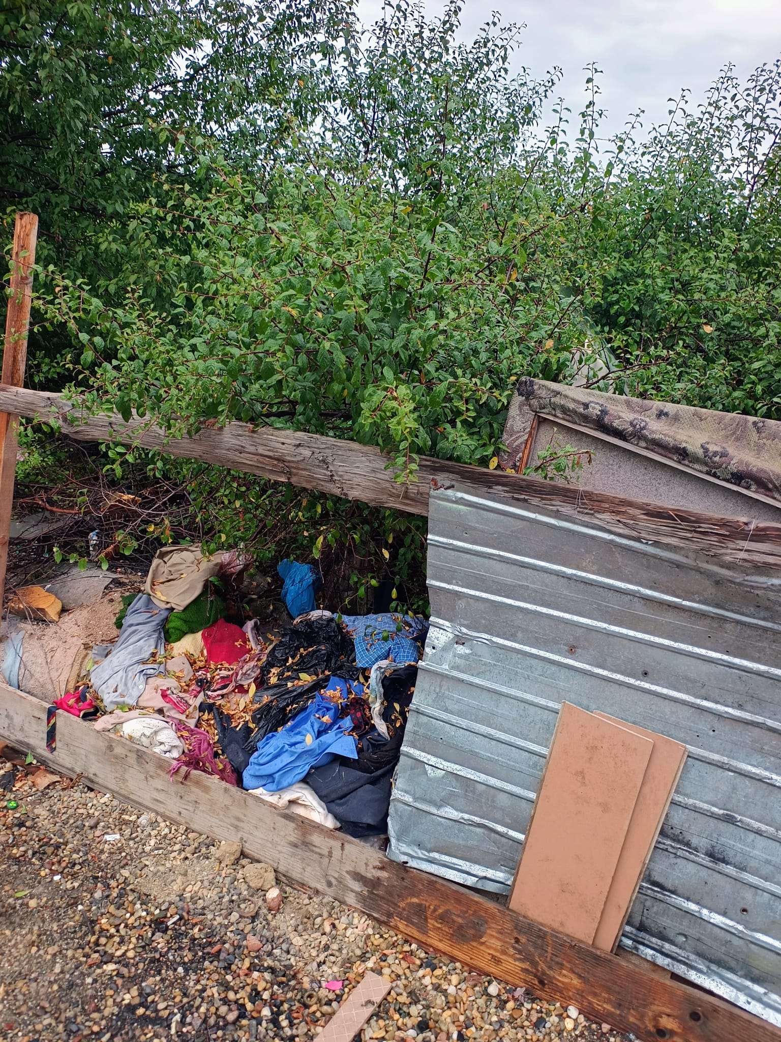 545525385_1197348052419143_8011828499236886202_n