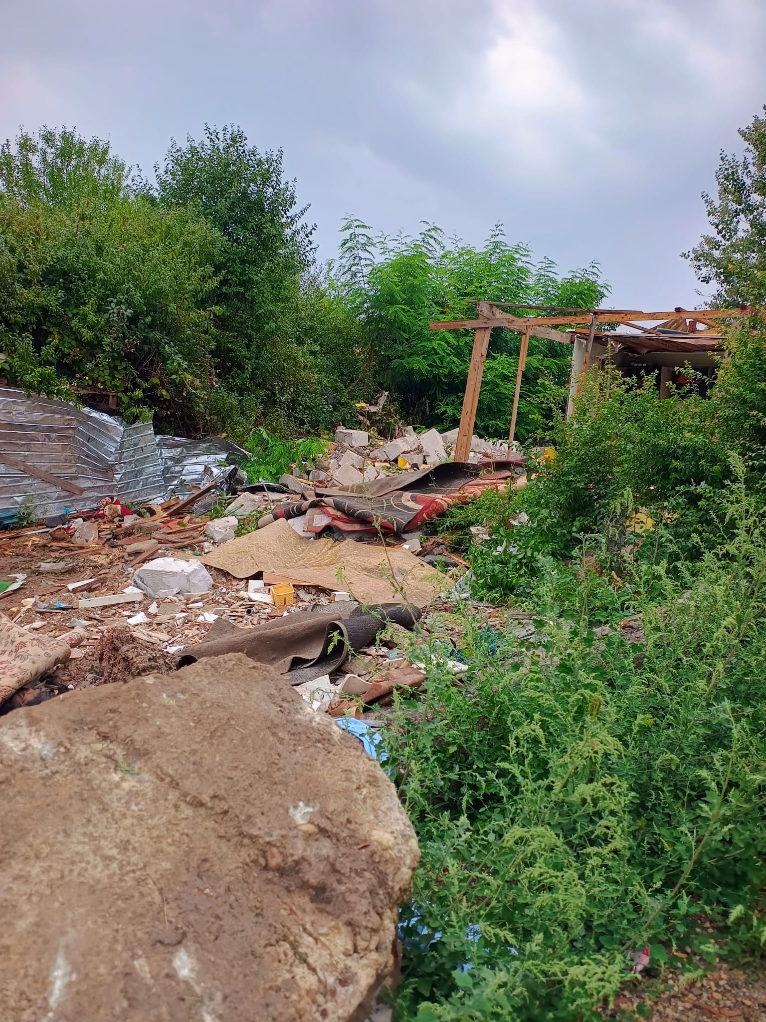 546650641_1197347995752482_5982899988050060119_n