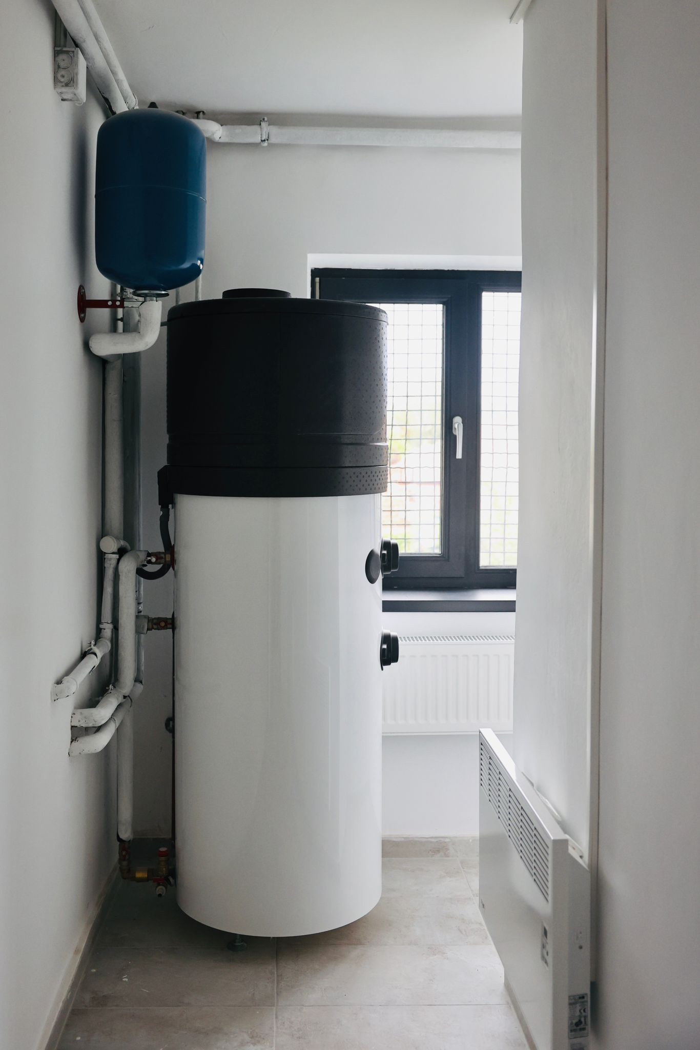 Centrul Constantin Paunescu Recas (2)