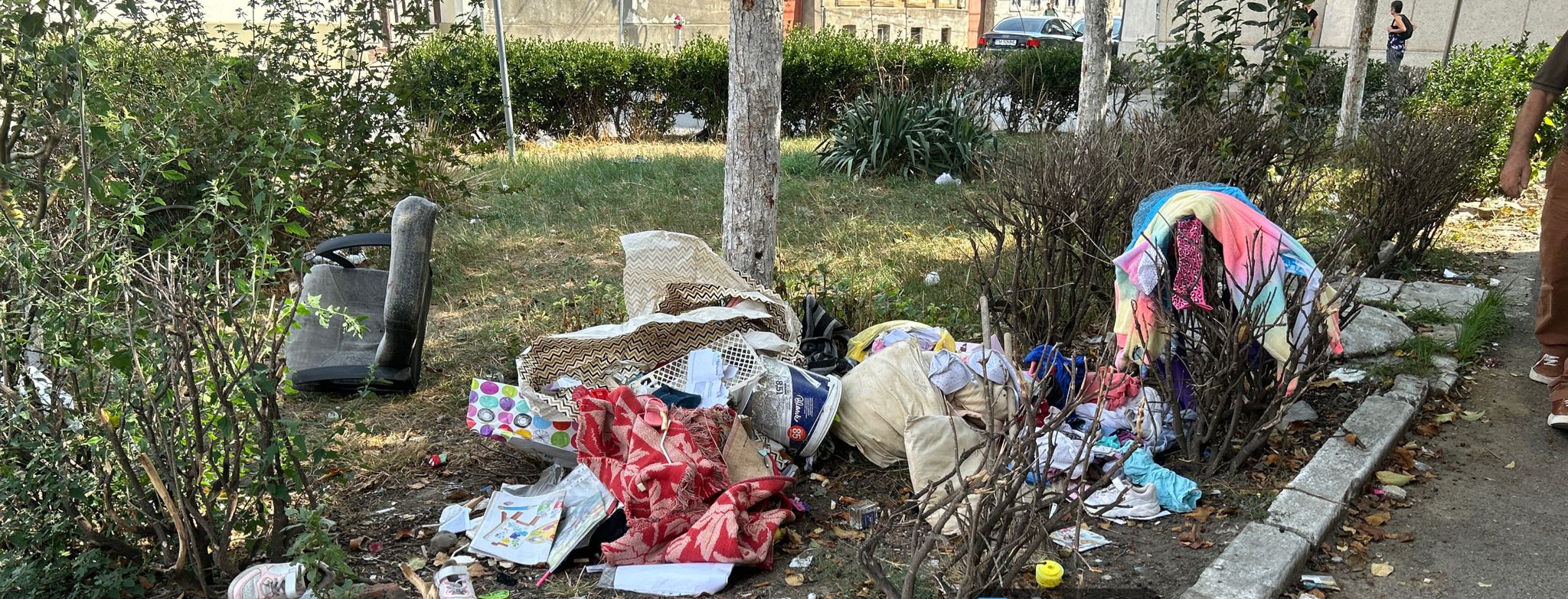 WhatsApp Image 2025-09-09 at 12.37.50