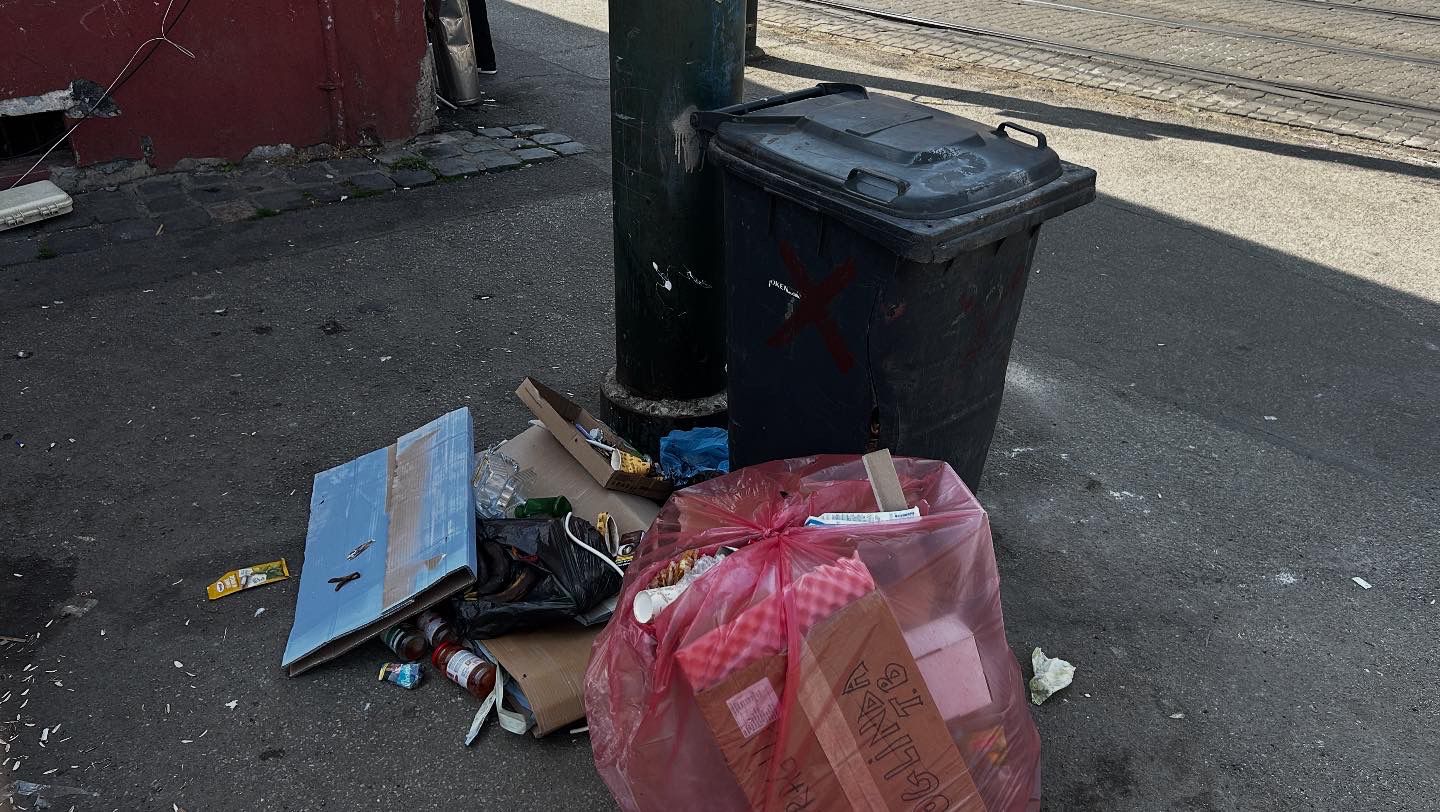 WhatsApp Image 2025-09-08 at 15.28.30