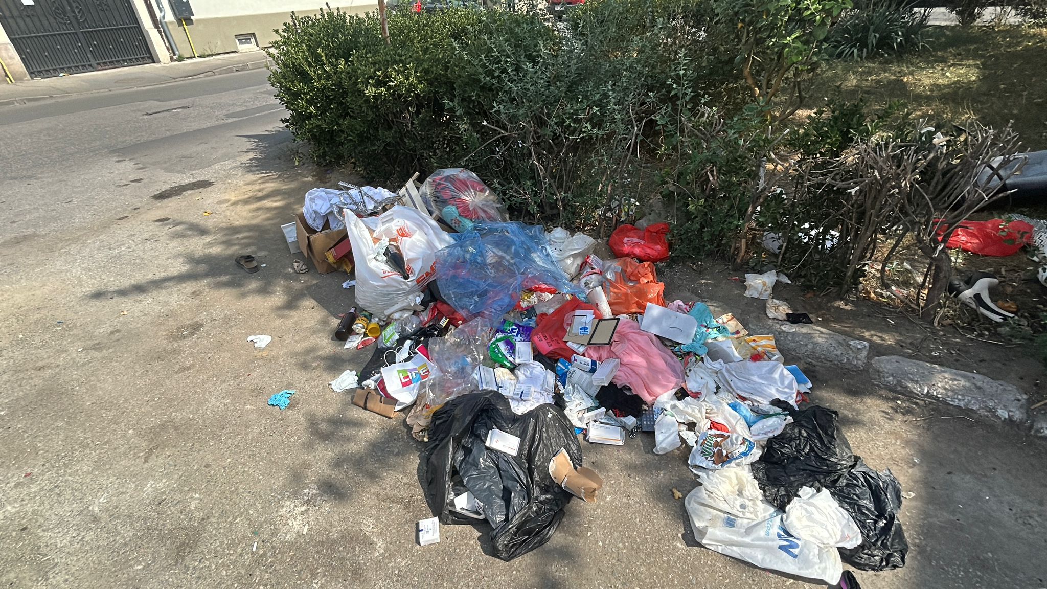 WhatsApp Image 2025-09-08 at 15.28.29 (1)