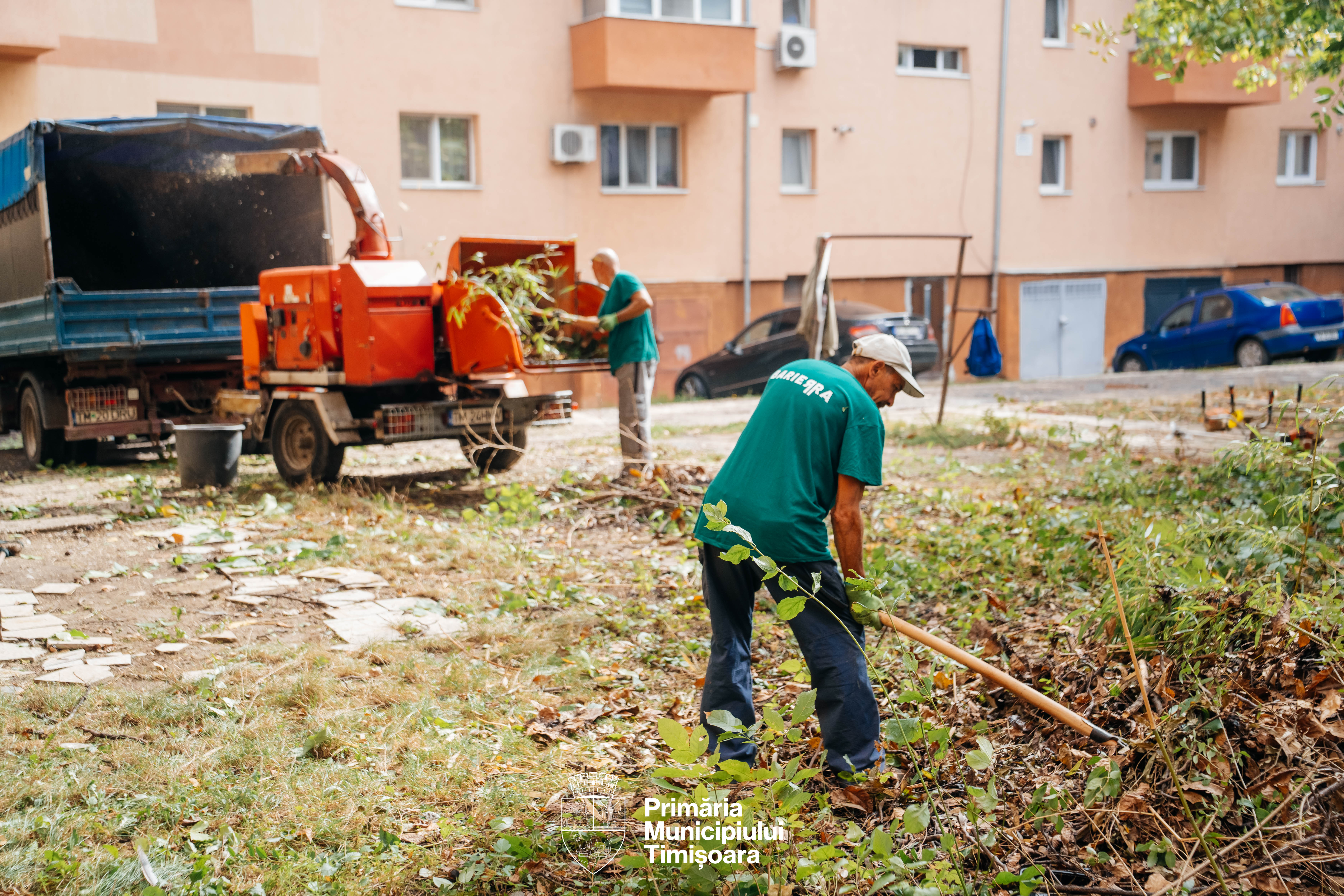 curatenie-spatii-verzi-2