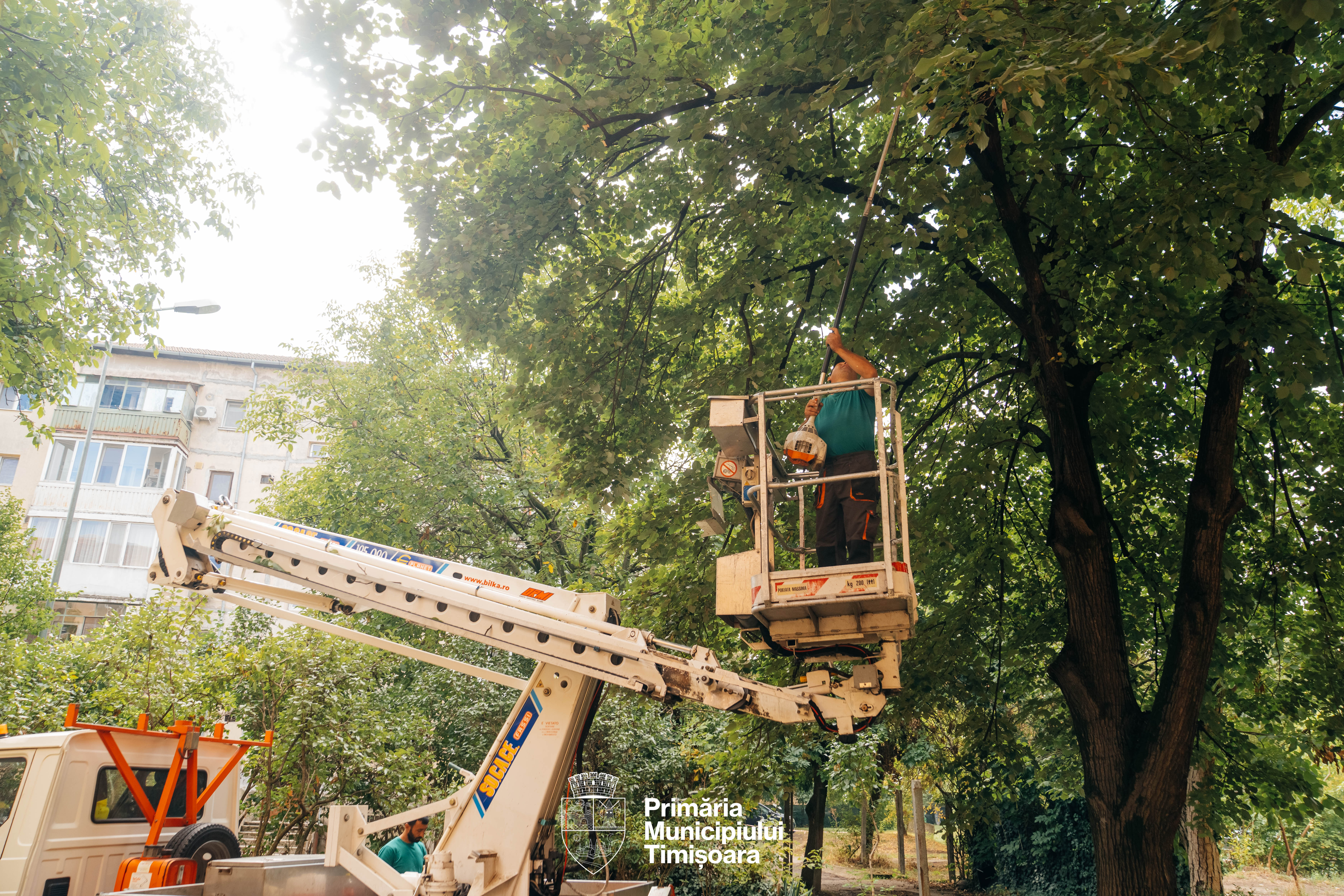 curatenie-spatii-verzi-3