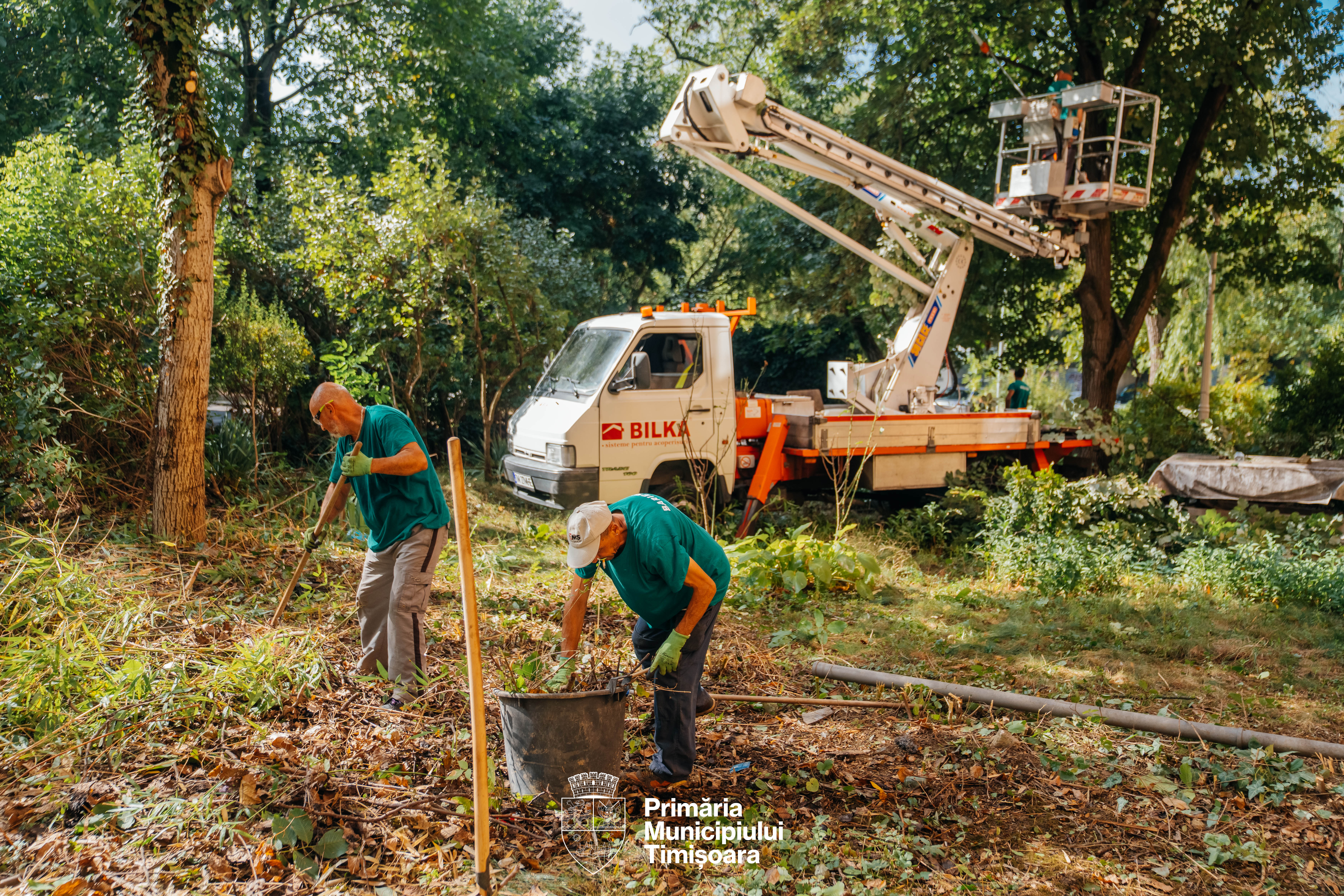 curatenie-spatii-verzi-4