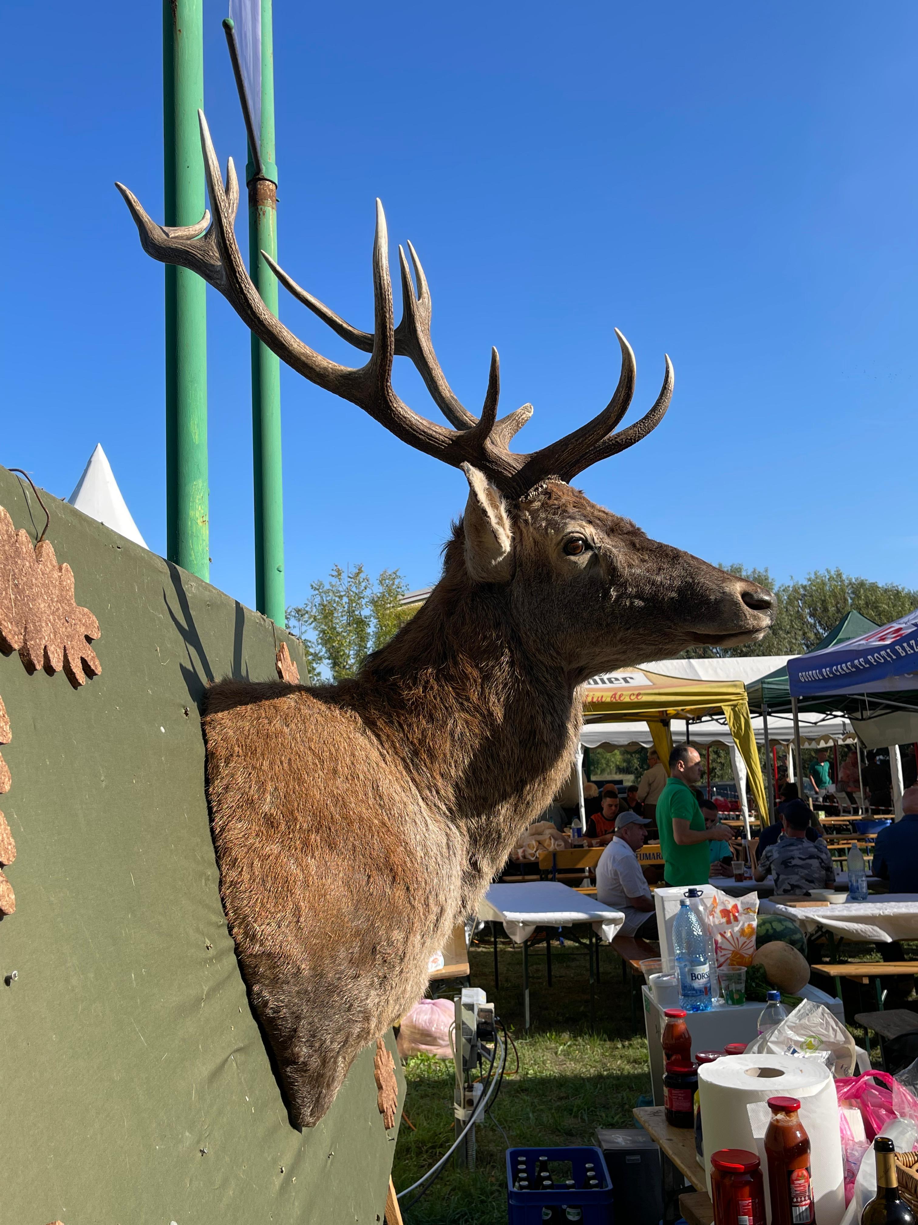 WhatsApp Image 2025-09-15 at 18.04.59 (1)