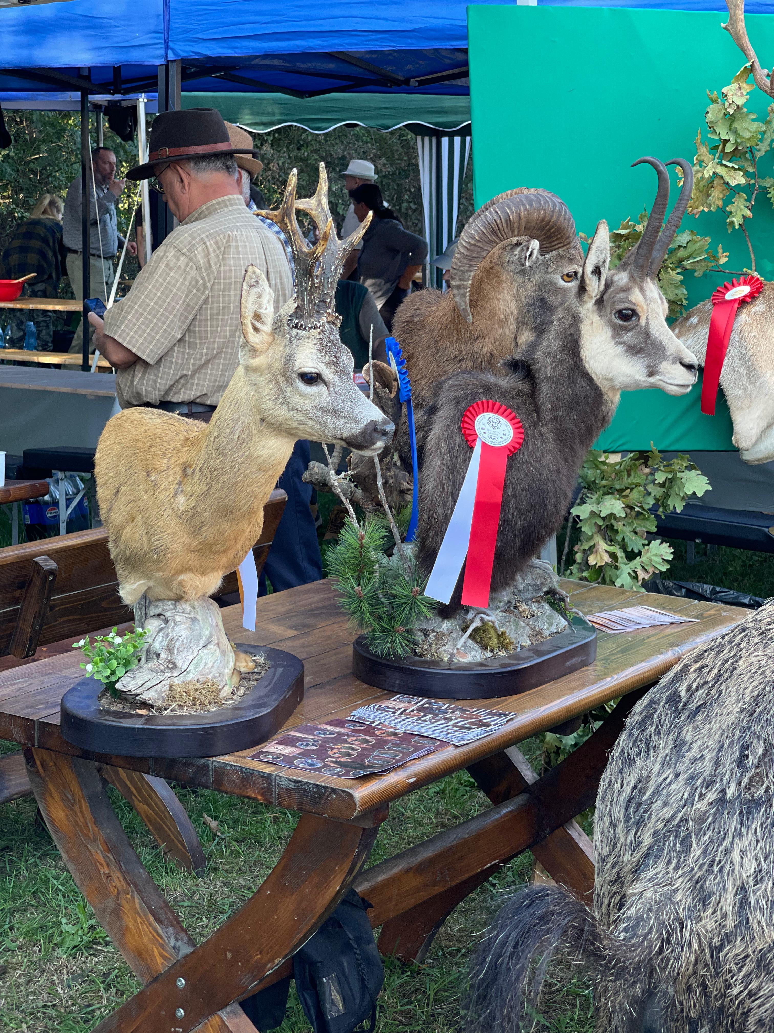 WhatsApp Image 2025-09-15 at 18.04.59