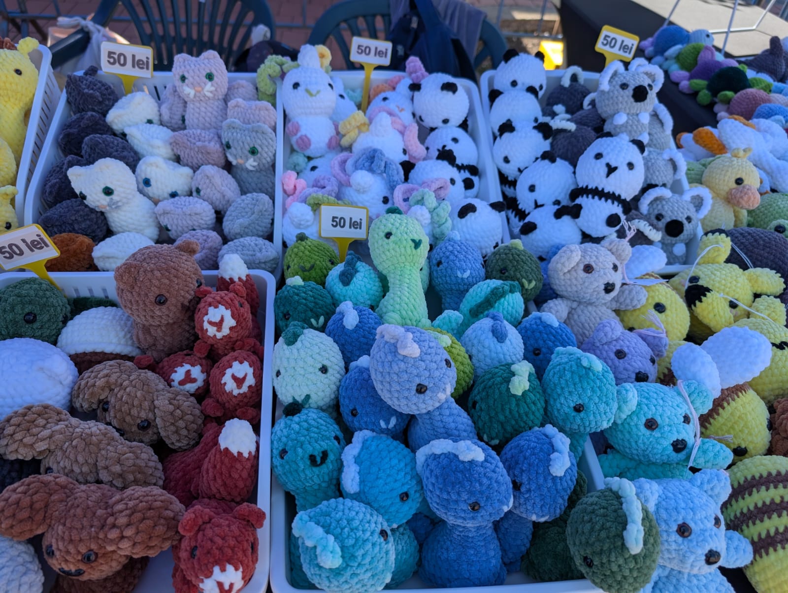 WhatsApp Image 2025-09-19 at 13.13.23