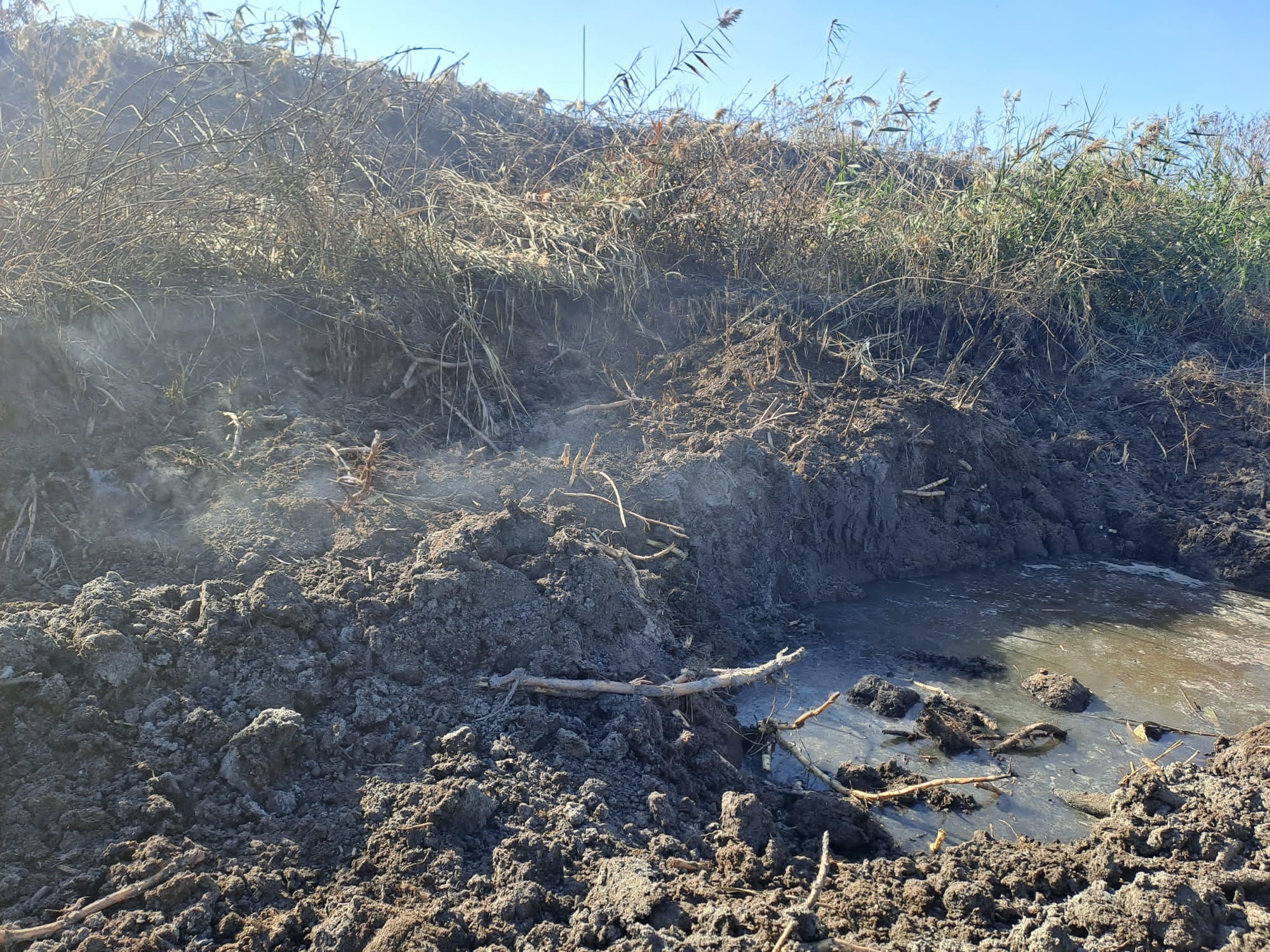 548630395_1234474745363979_4592295393864188706_n