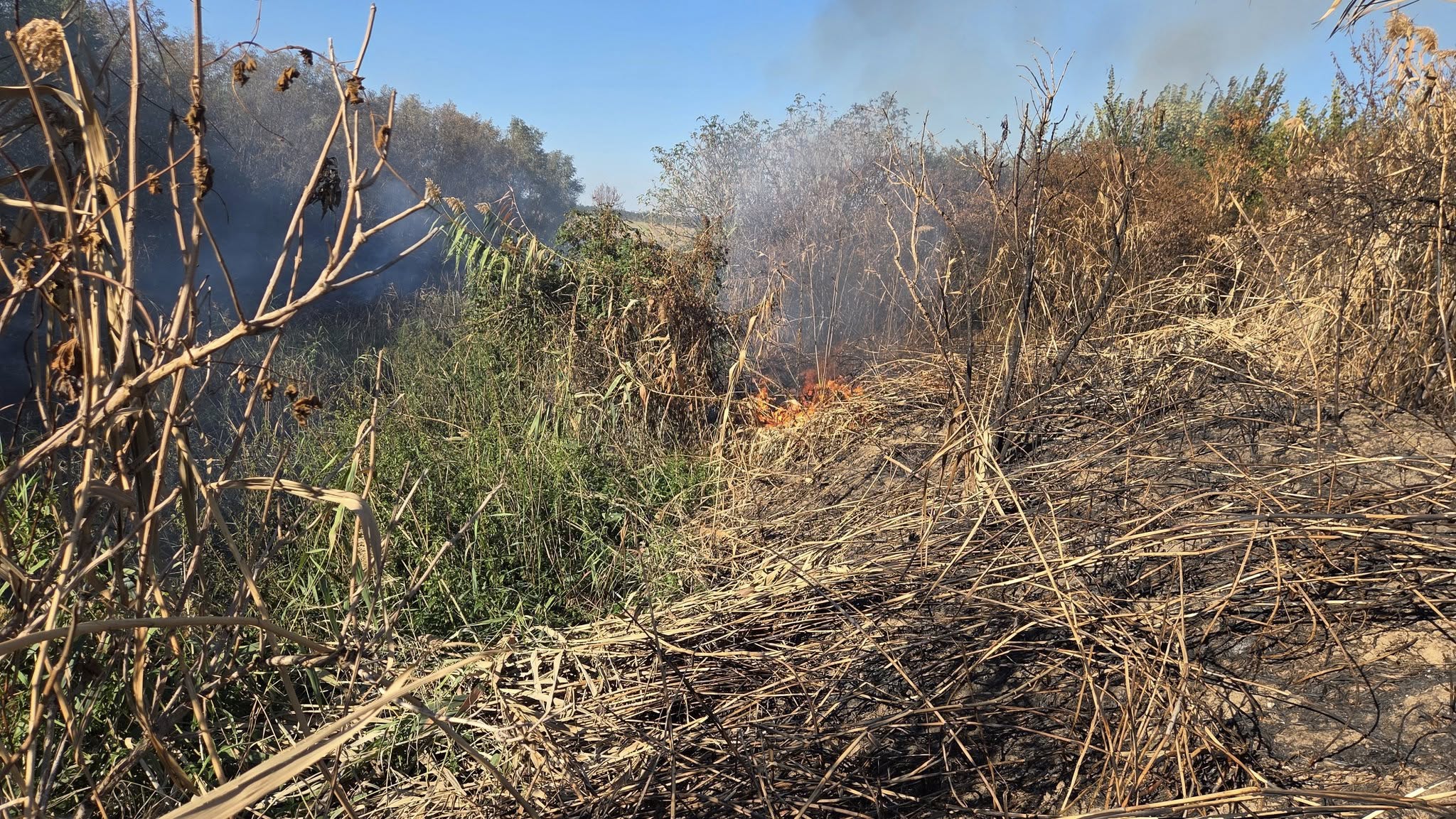 549166797_1234475118697275_6906250653516811618_n