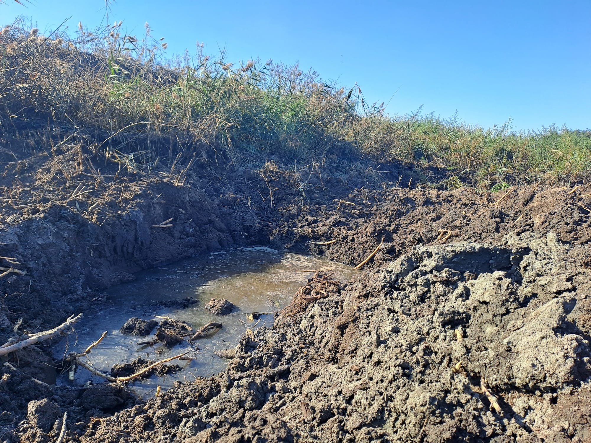 549374491_1234474645363989_8706993260886836390_n